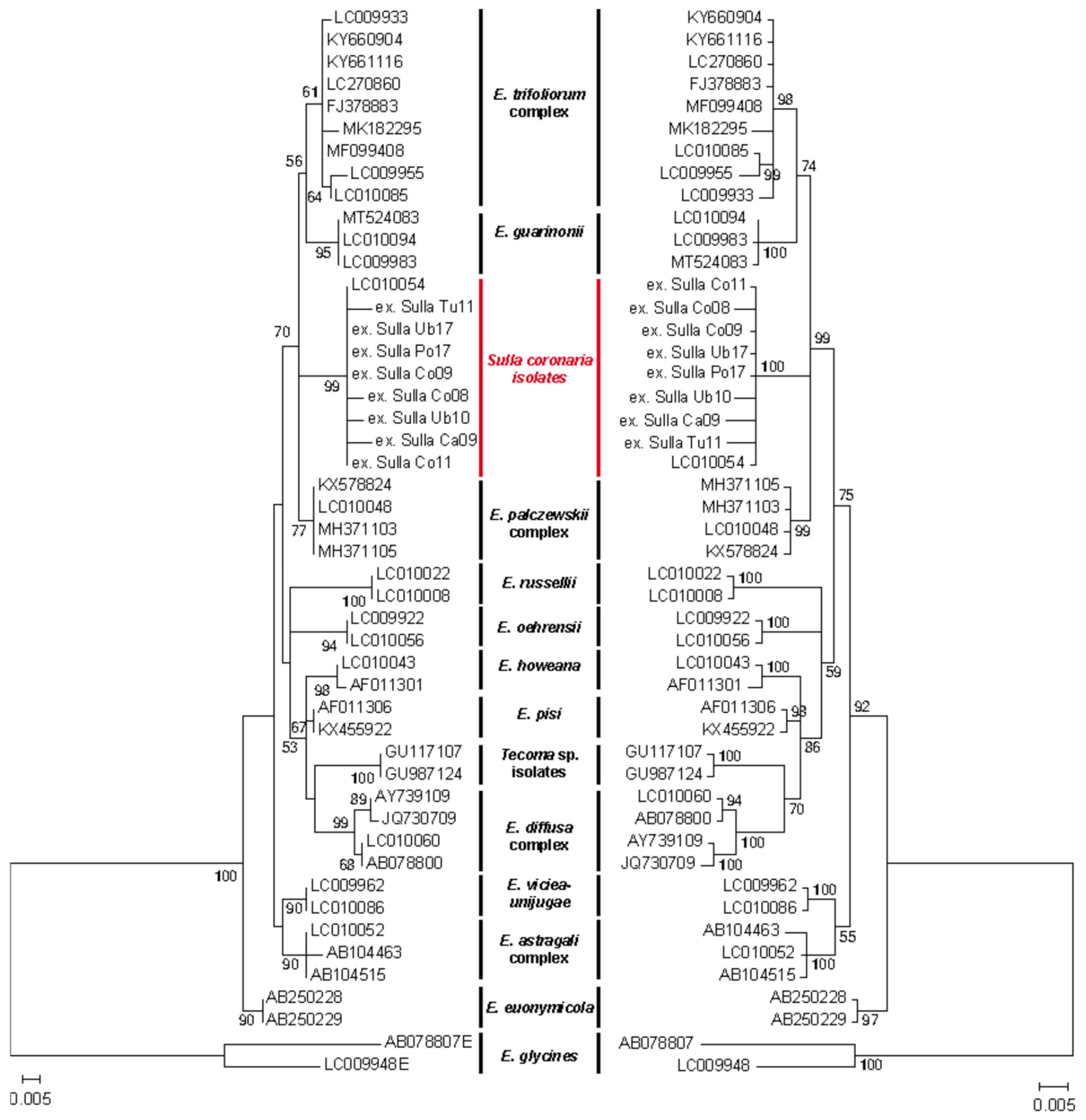 Agronomy 12 01852 g004 Agronomy 12 01852 g004