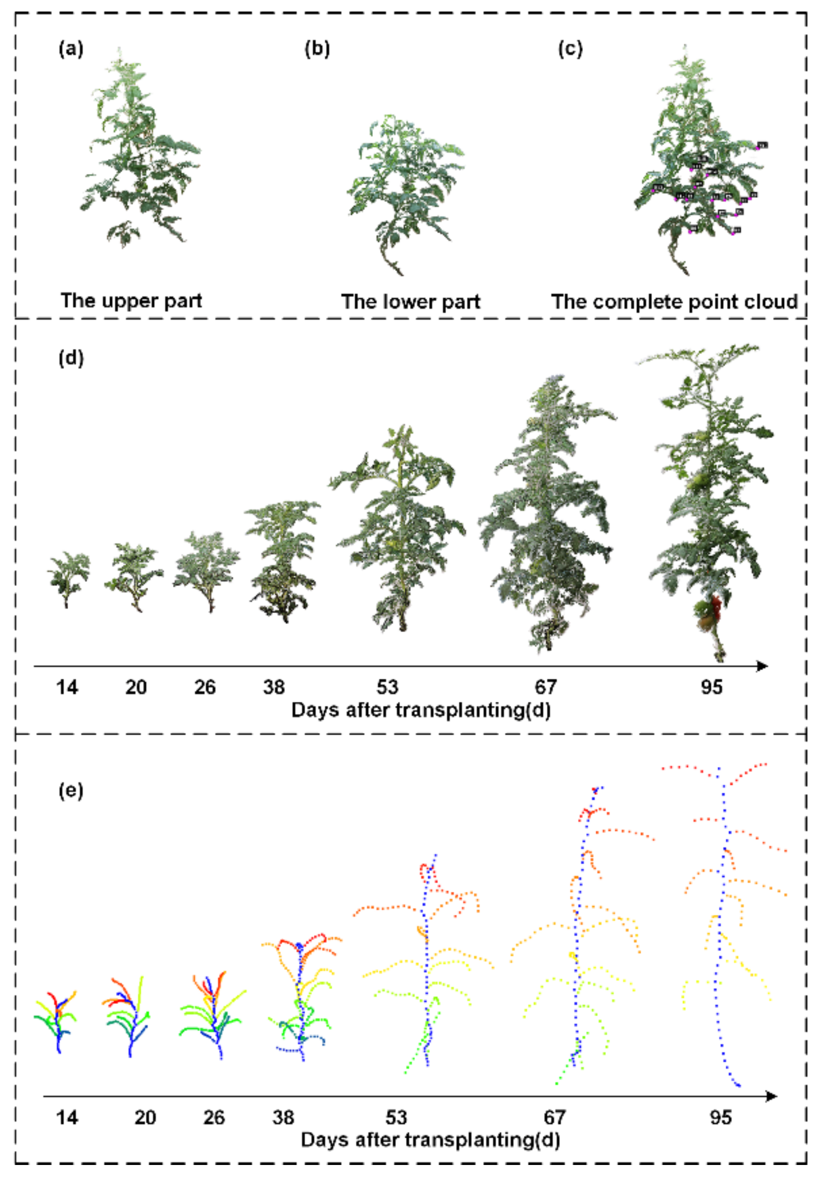 Agronomy 12 01865 g003 550