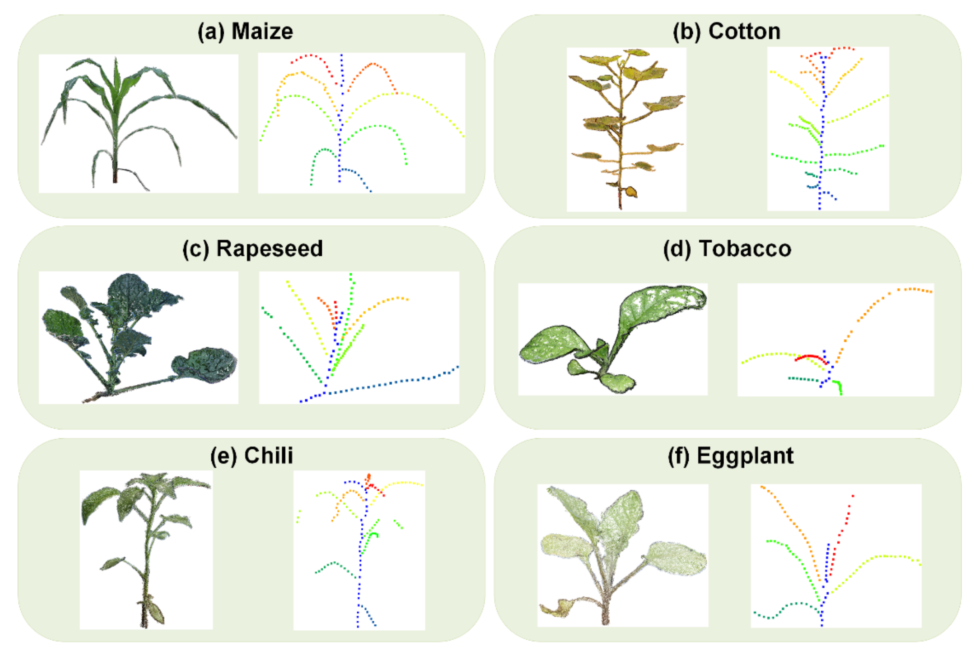 Agronomy 12 01865 g006 550