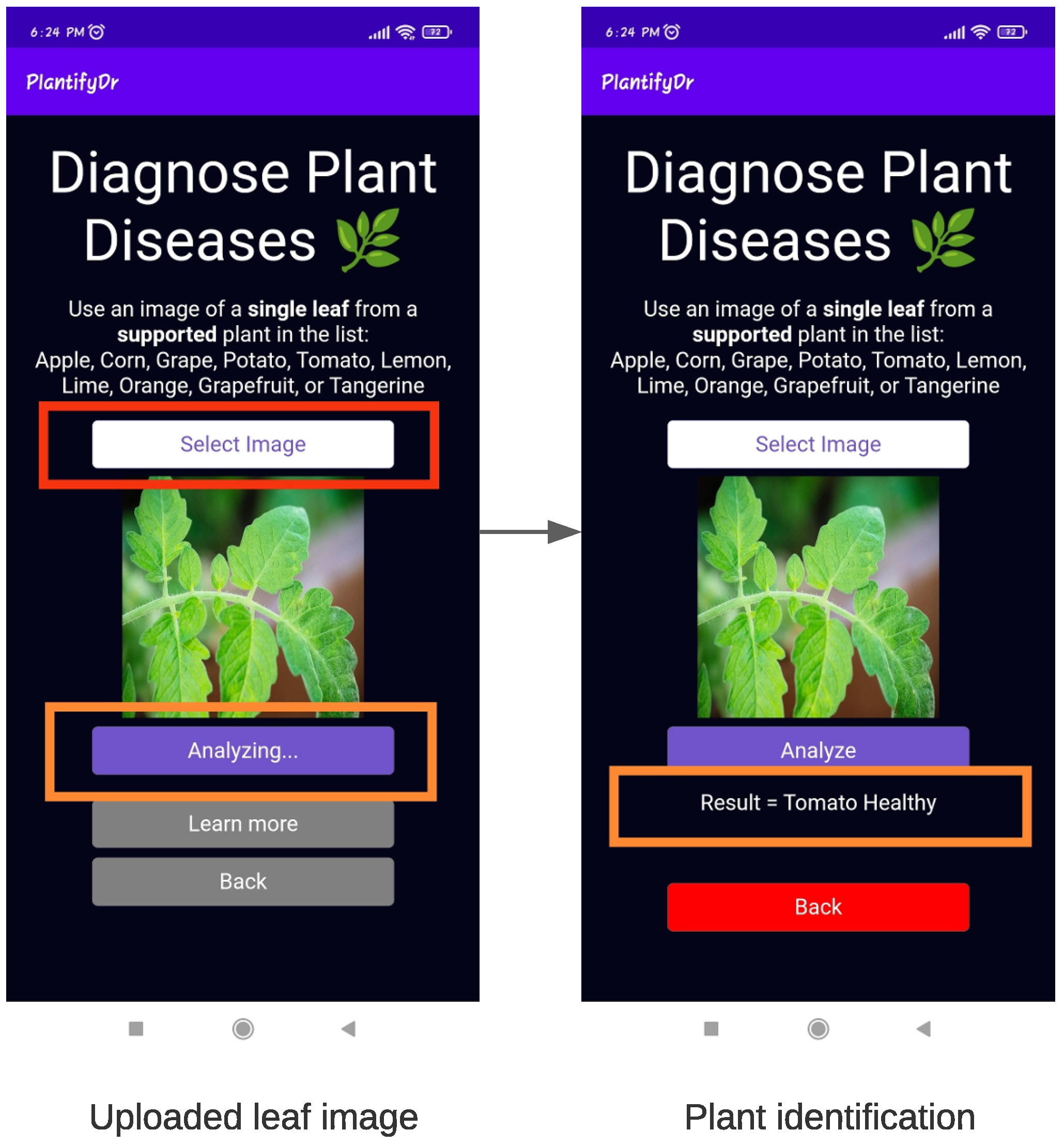 research paper on plant disease