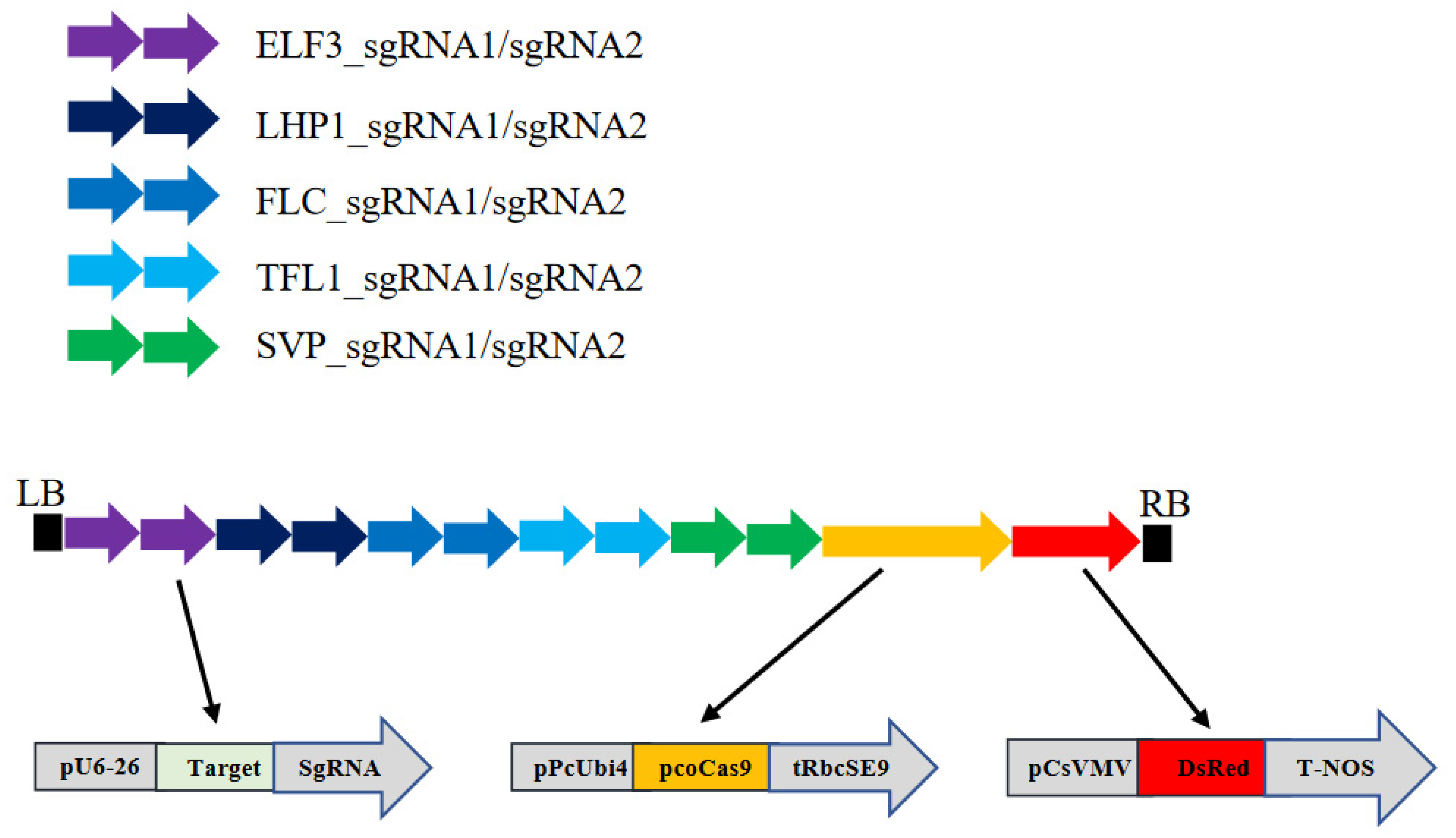 Agronomy 12 01873 g001 550