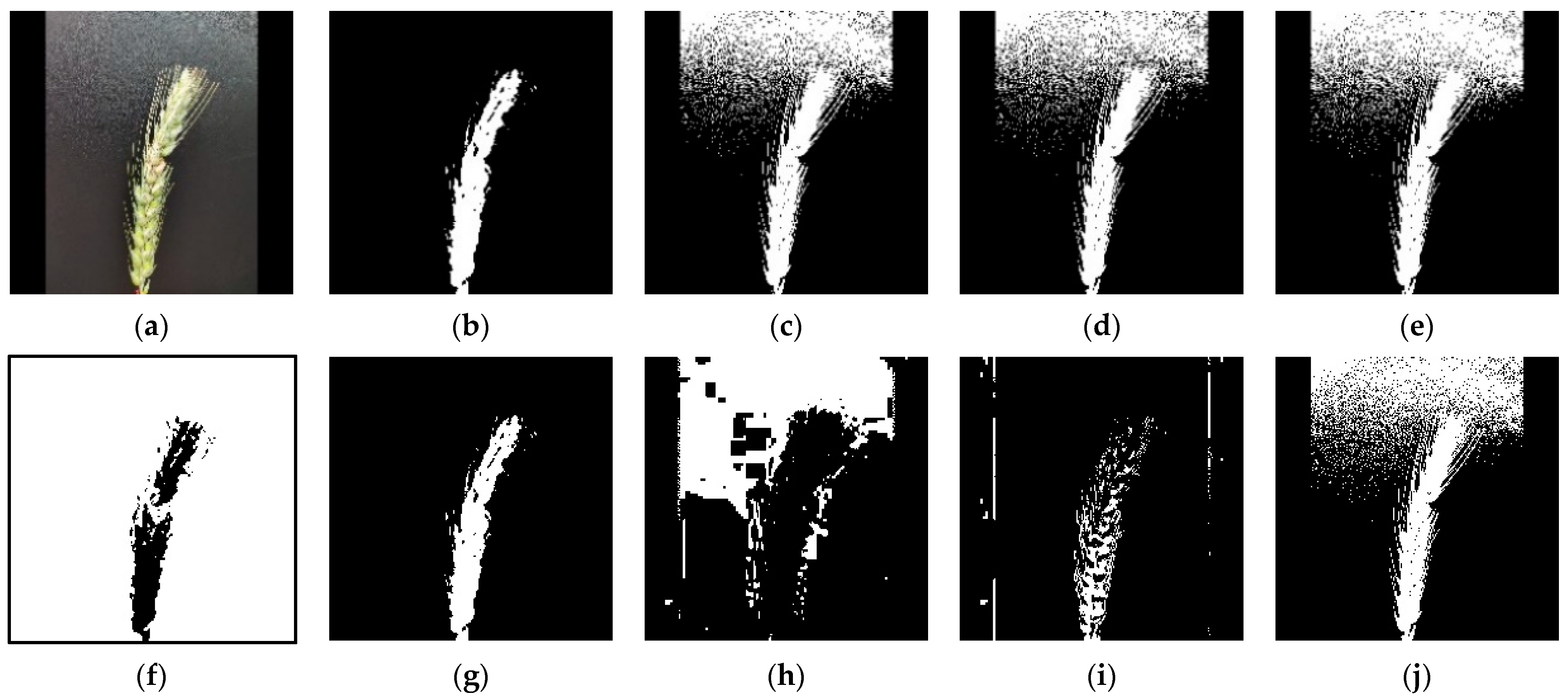 Agronomy 12 01876 g008 550