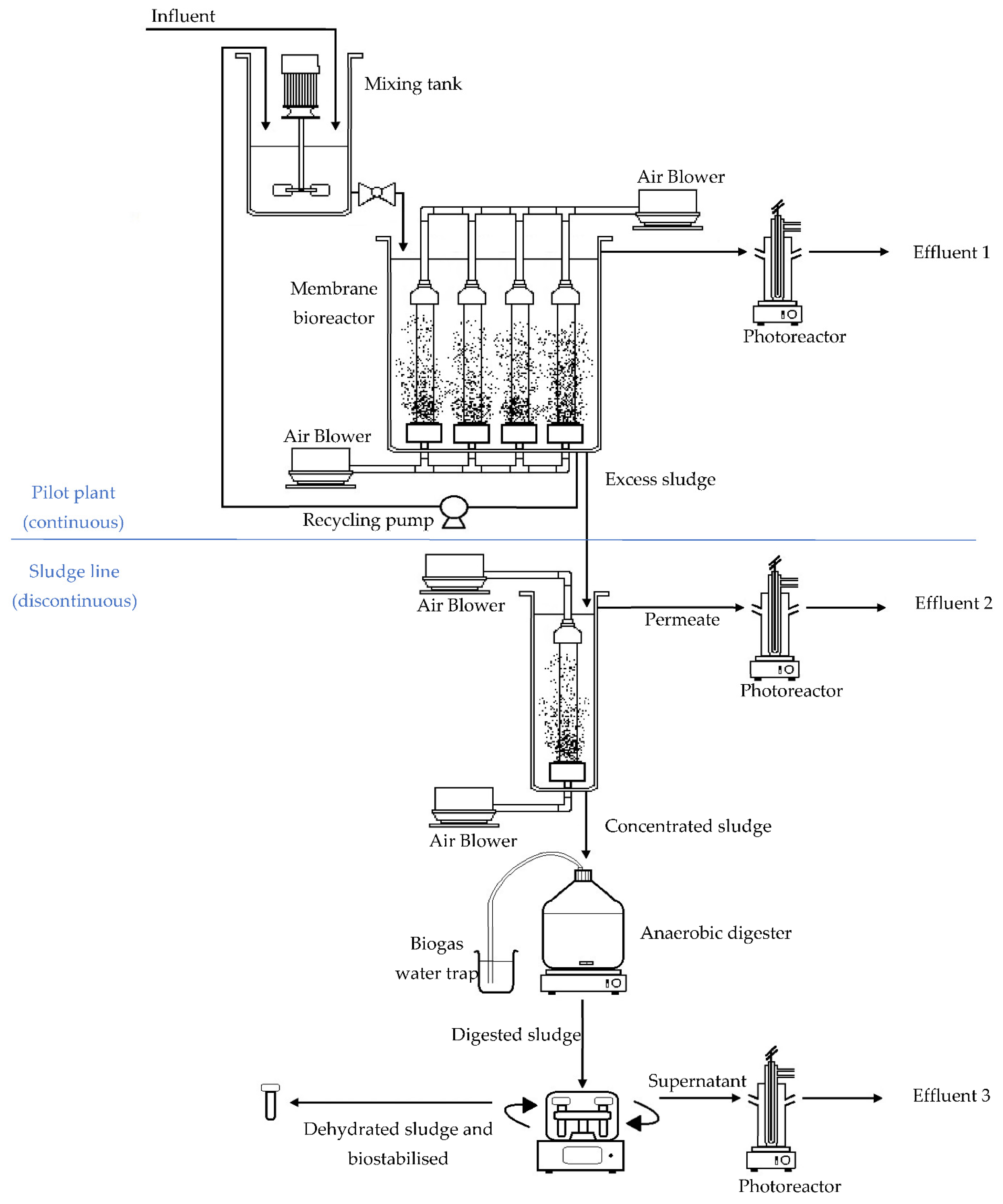 Agronomy 12 01877 g001