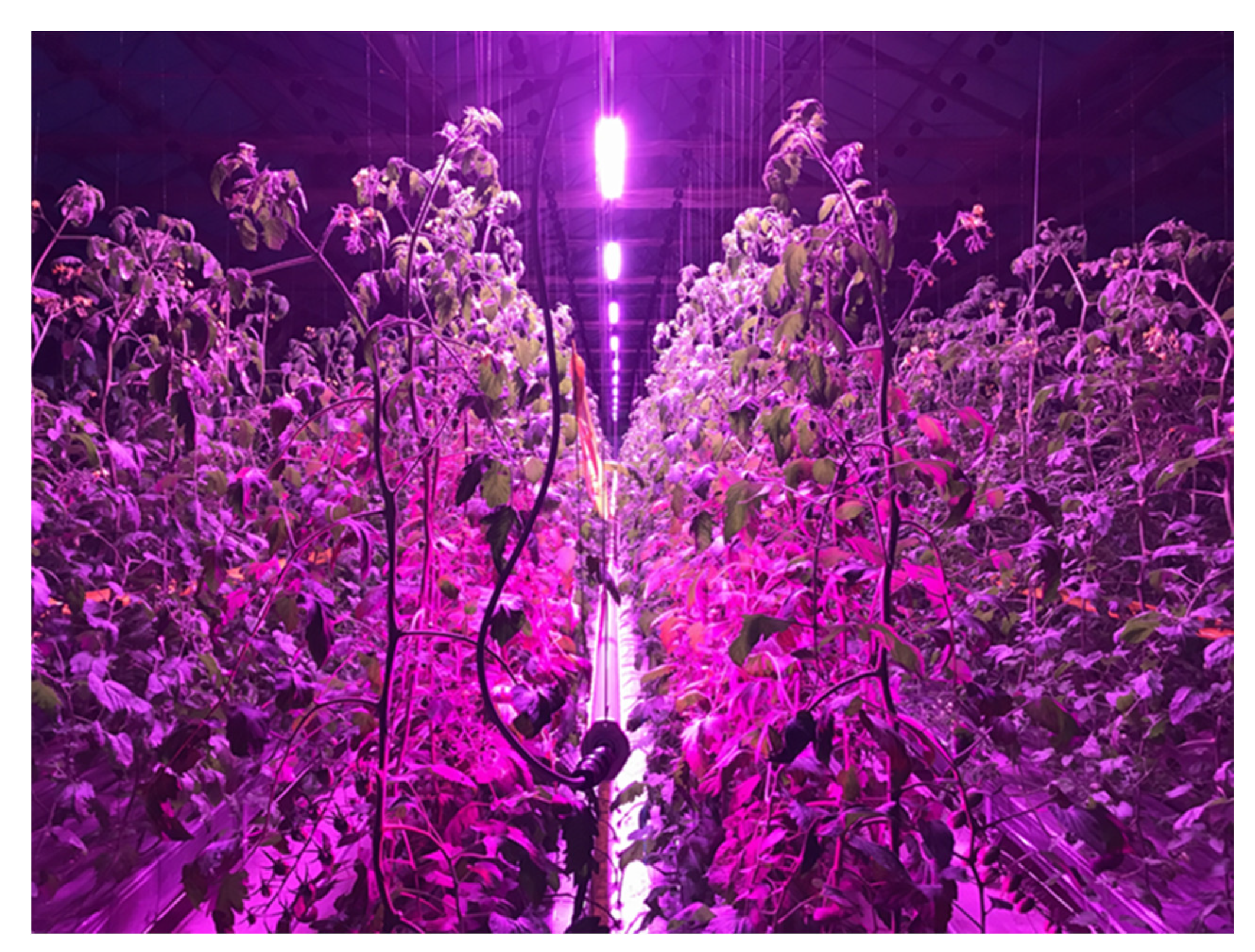 Agronomy 12 01878 g001