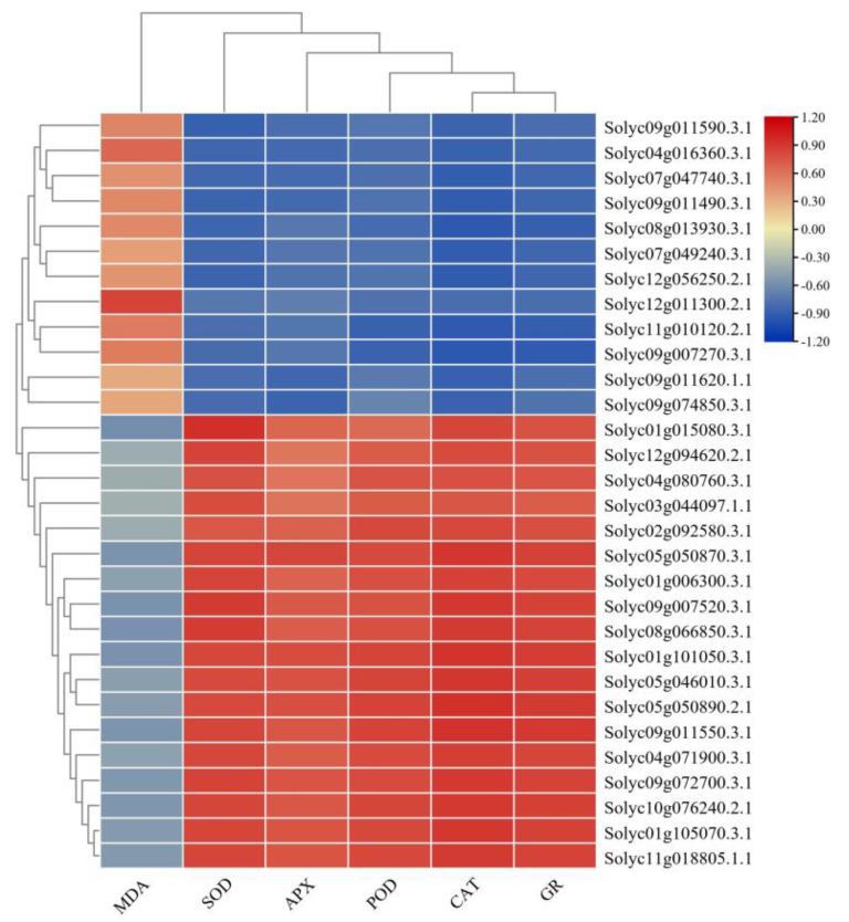 Agronomy 12 01880 g009