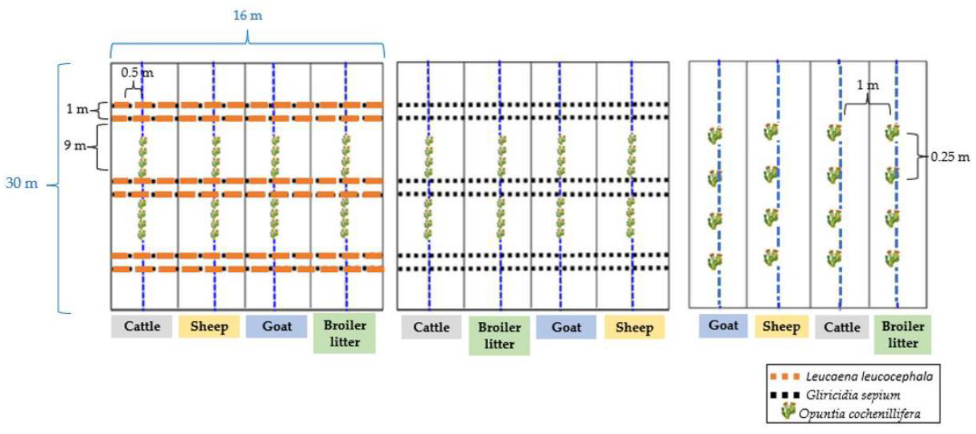 Agronomy 12 01887 g002