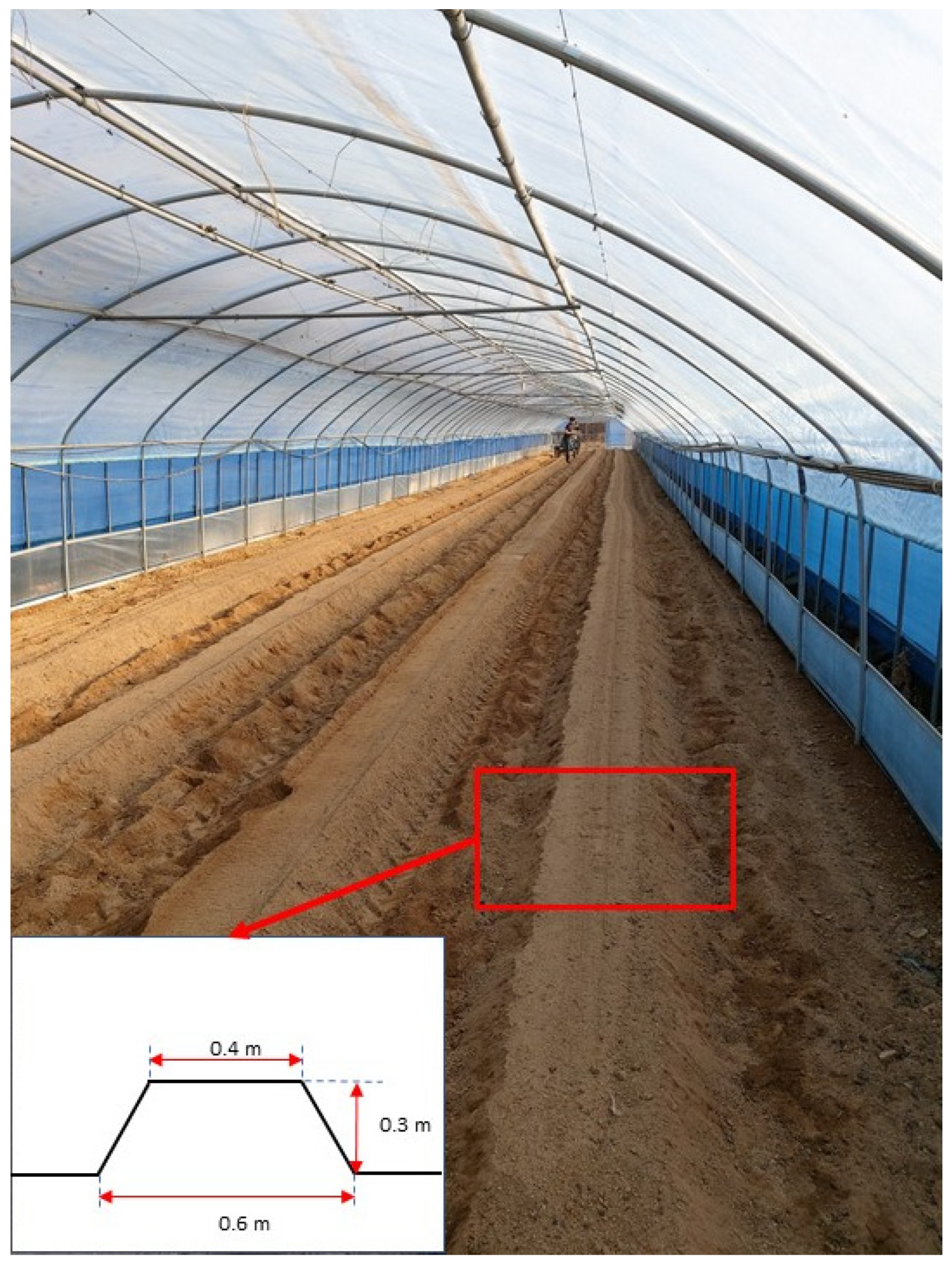 Agronomy 12 01890 g007