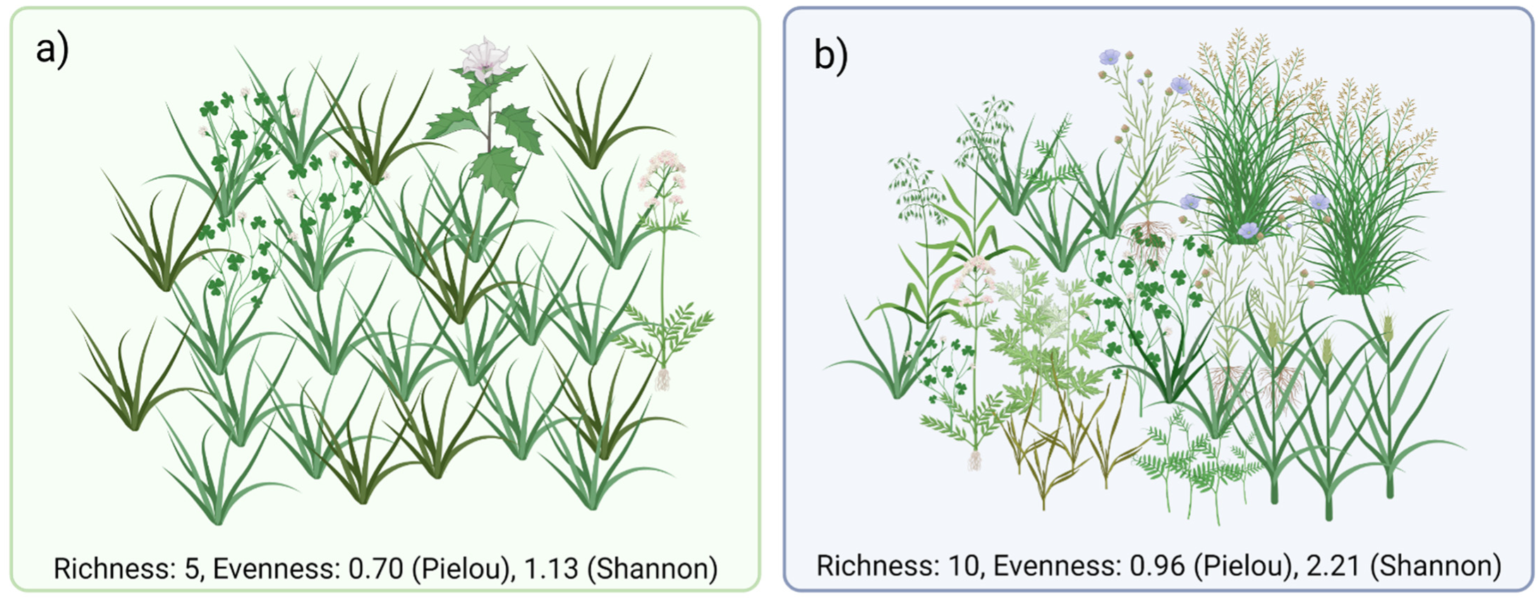 Agronomy 12 01893 g001