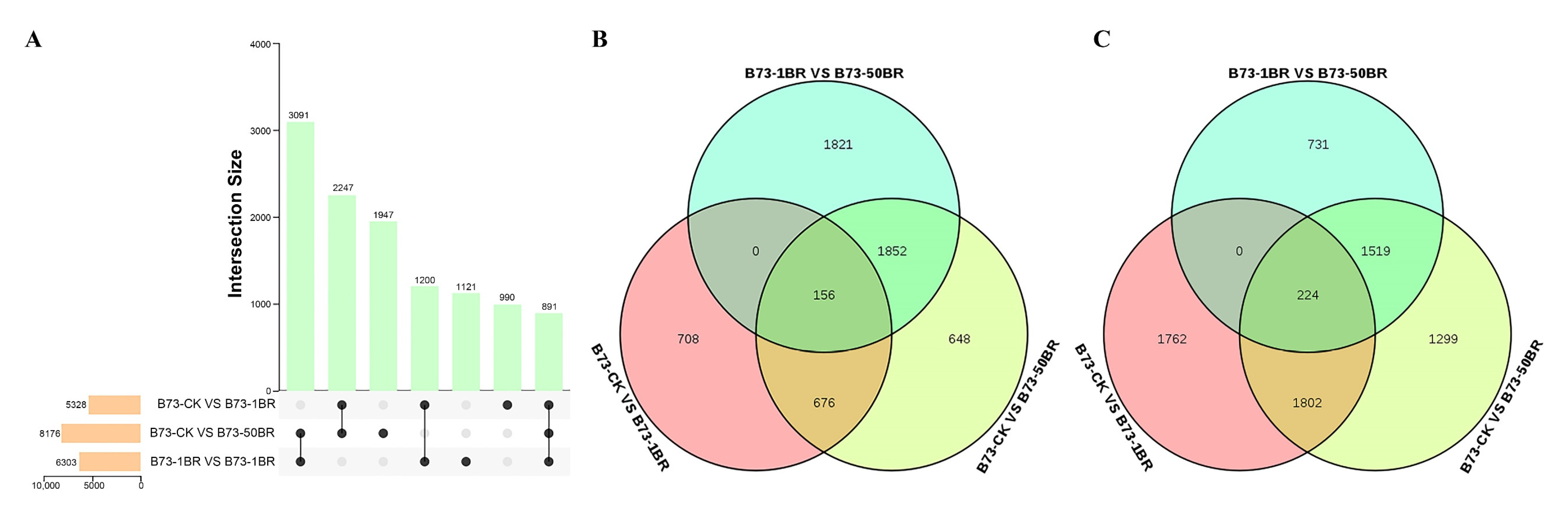 Agronomy 12 01895 g003 550