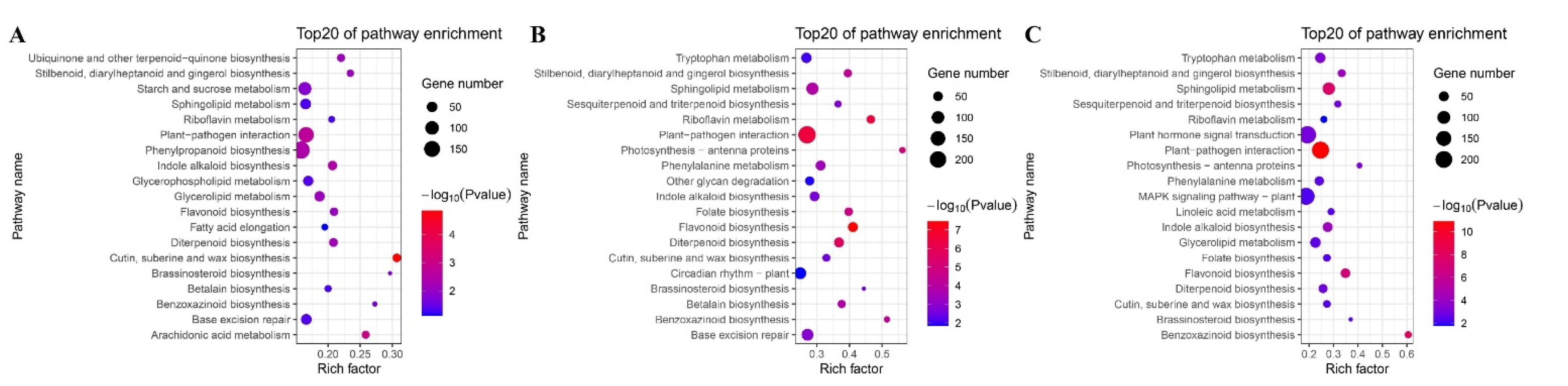 Agronomy 12 01895 g005 550
