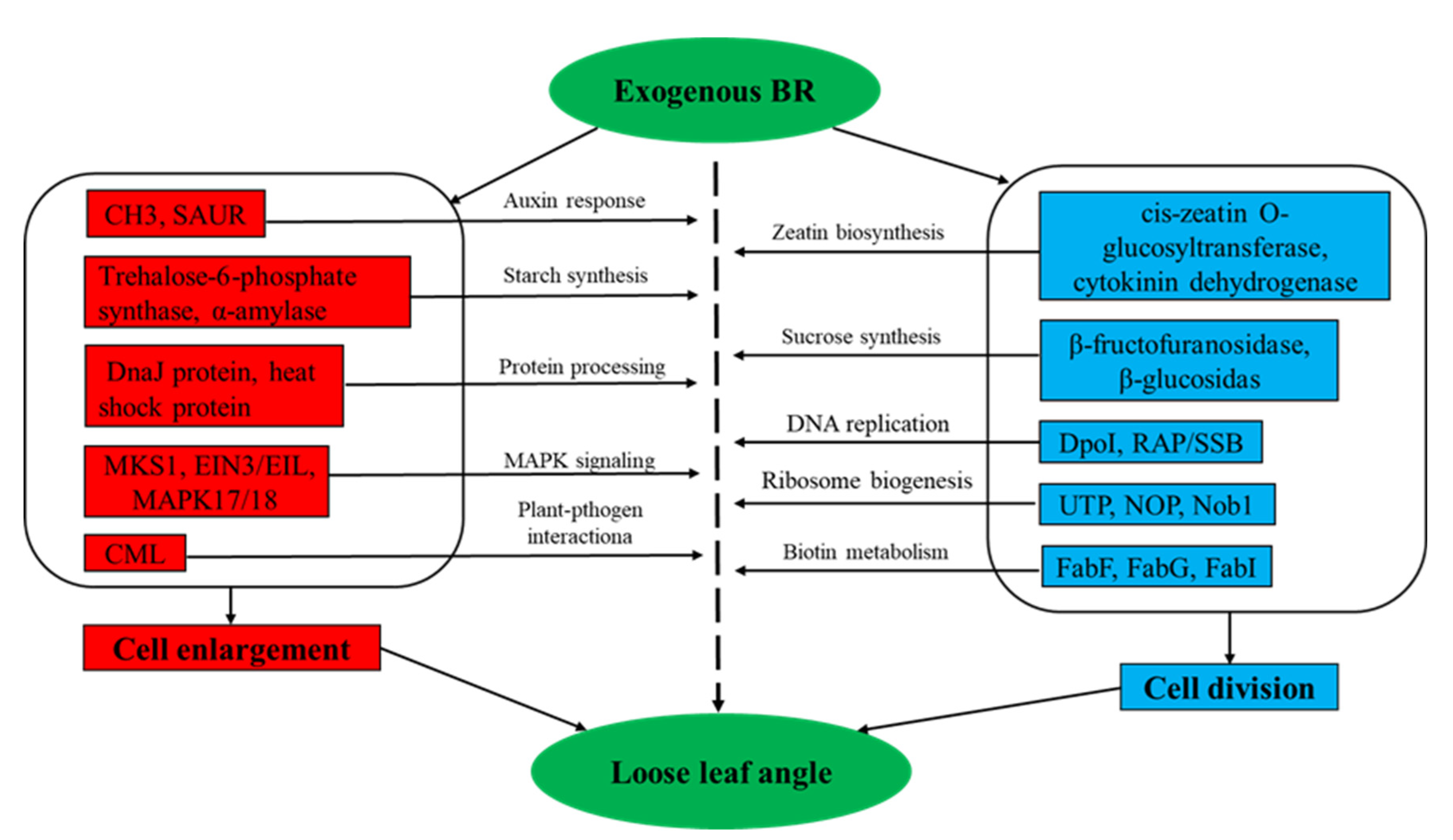 Agronomy 12 01895 g010 550