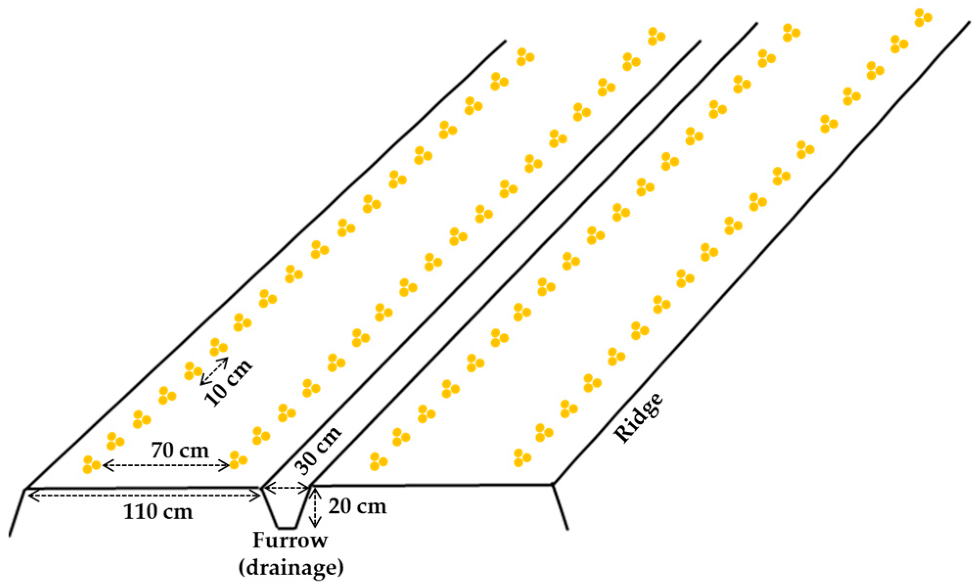 Agronomy 12 01901 g001 Agronomy 12 01901 g001