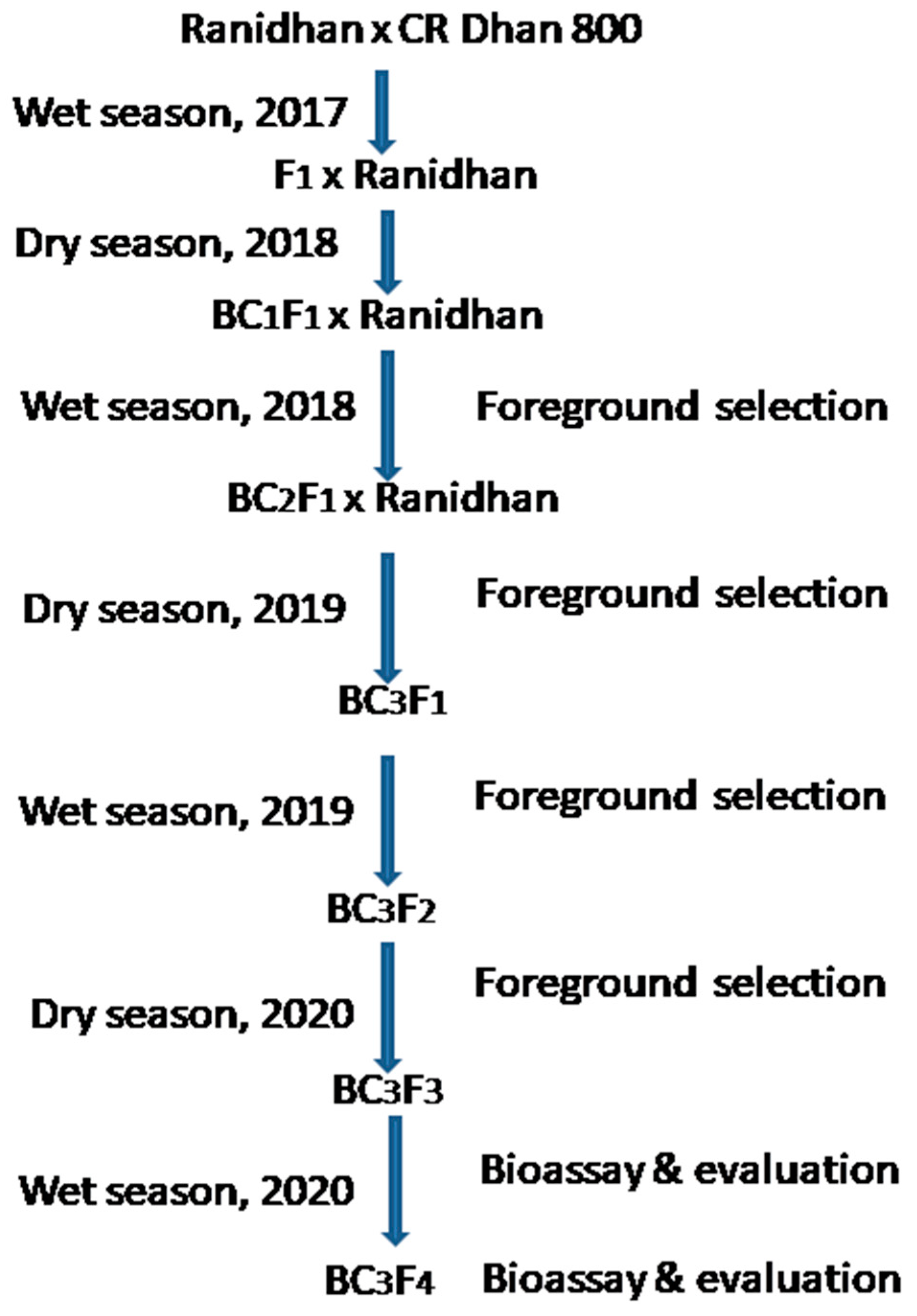Agronomy 12 01903 g001 550