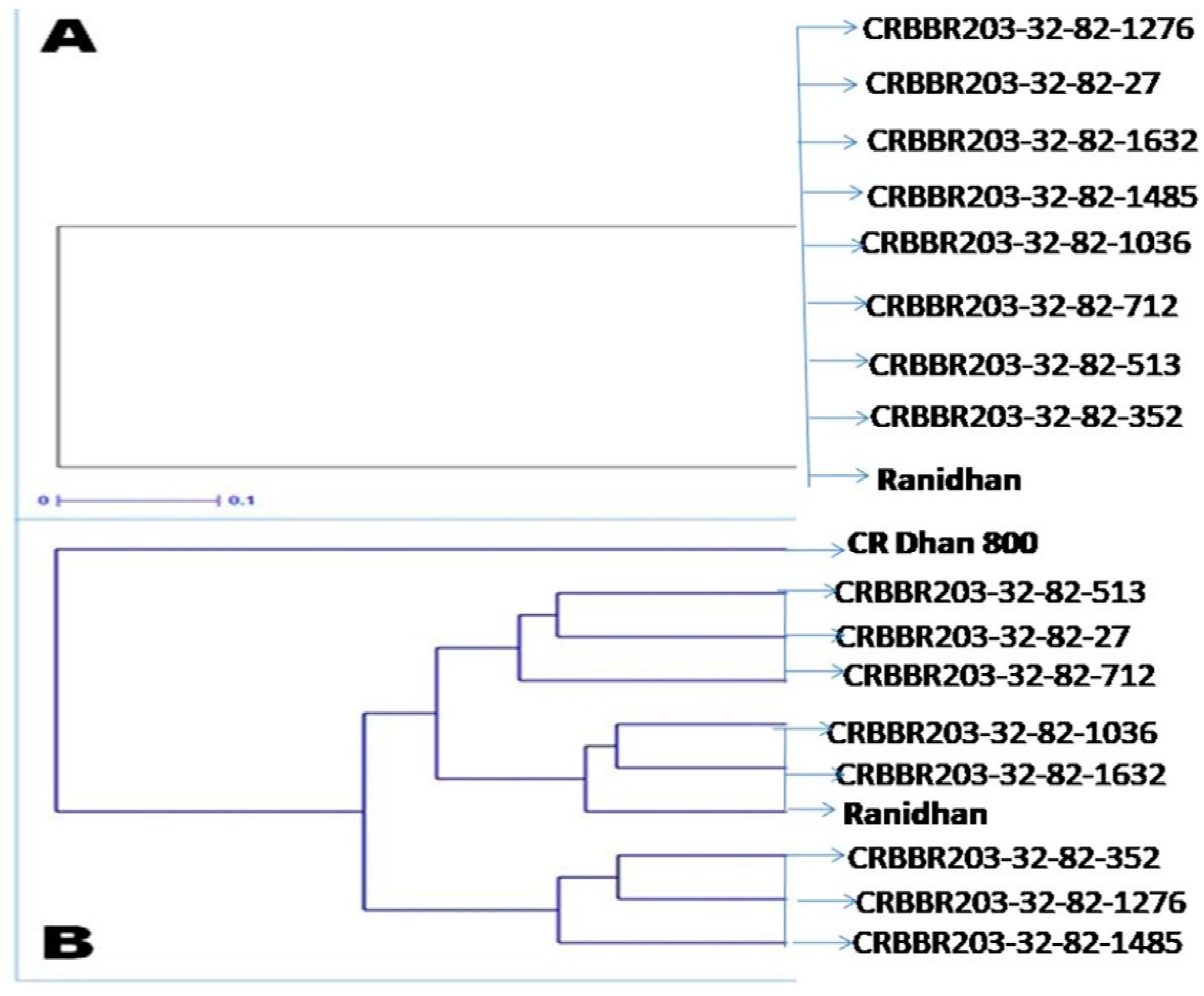 Agronomy 12 01903 g006 550