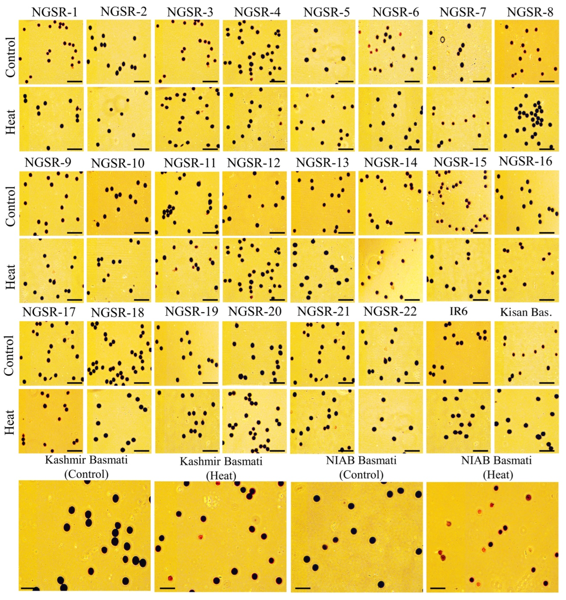 Agronomy 12 01907 g004