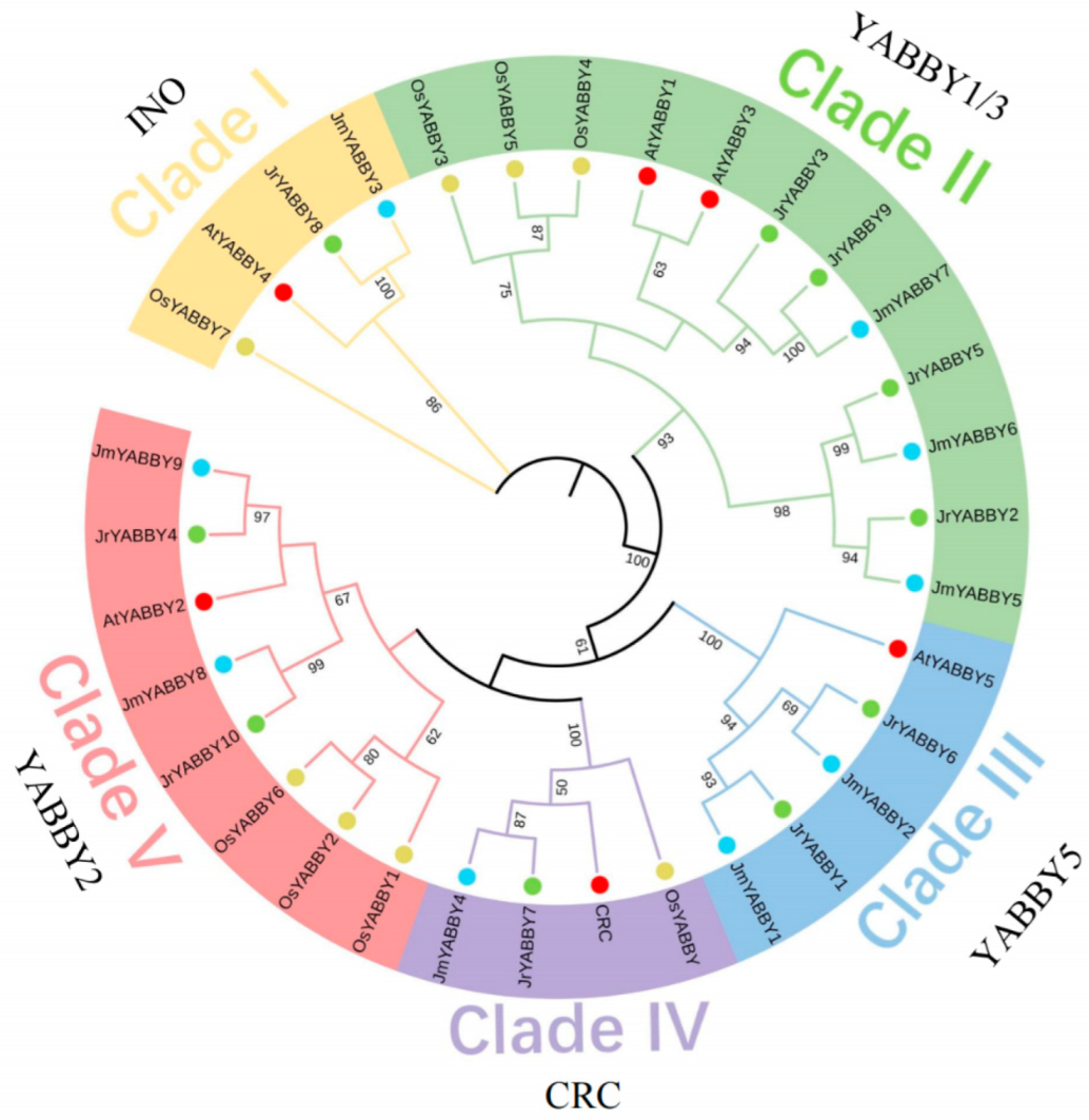 Agronomy 12 01914 g001 550