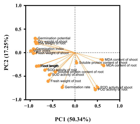 seed ZmDRR206 Regulates Nutrient Accumulation in Endosperm