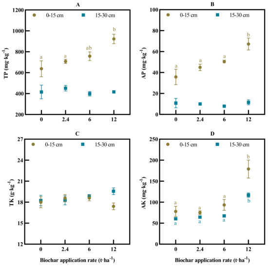 Long-Term Field Biochar Application for Rice Production