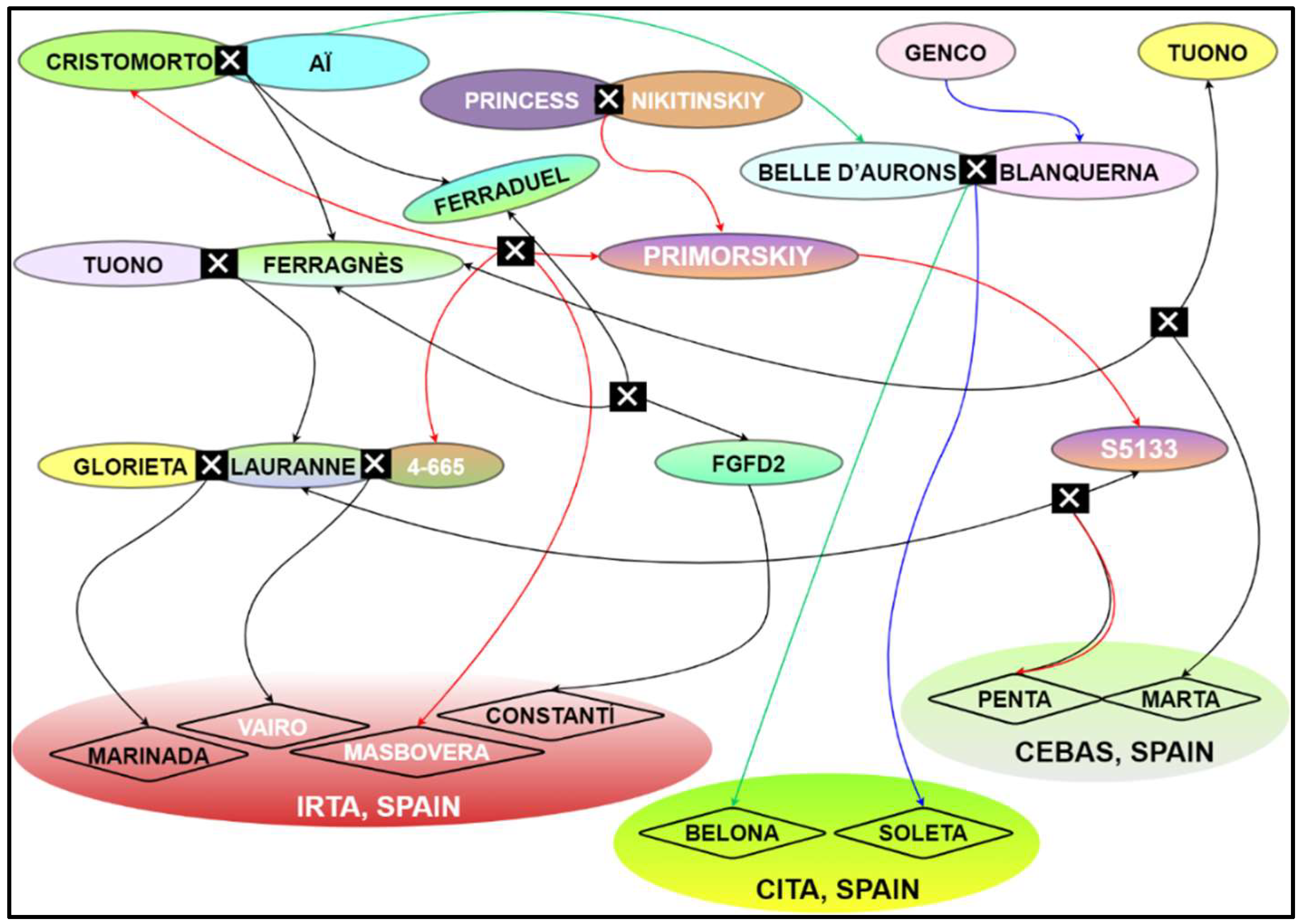 Agronomy 12 01933 g001 550