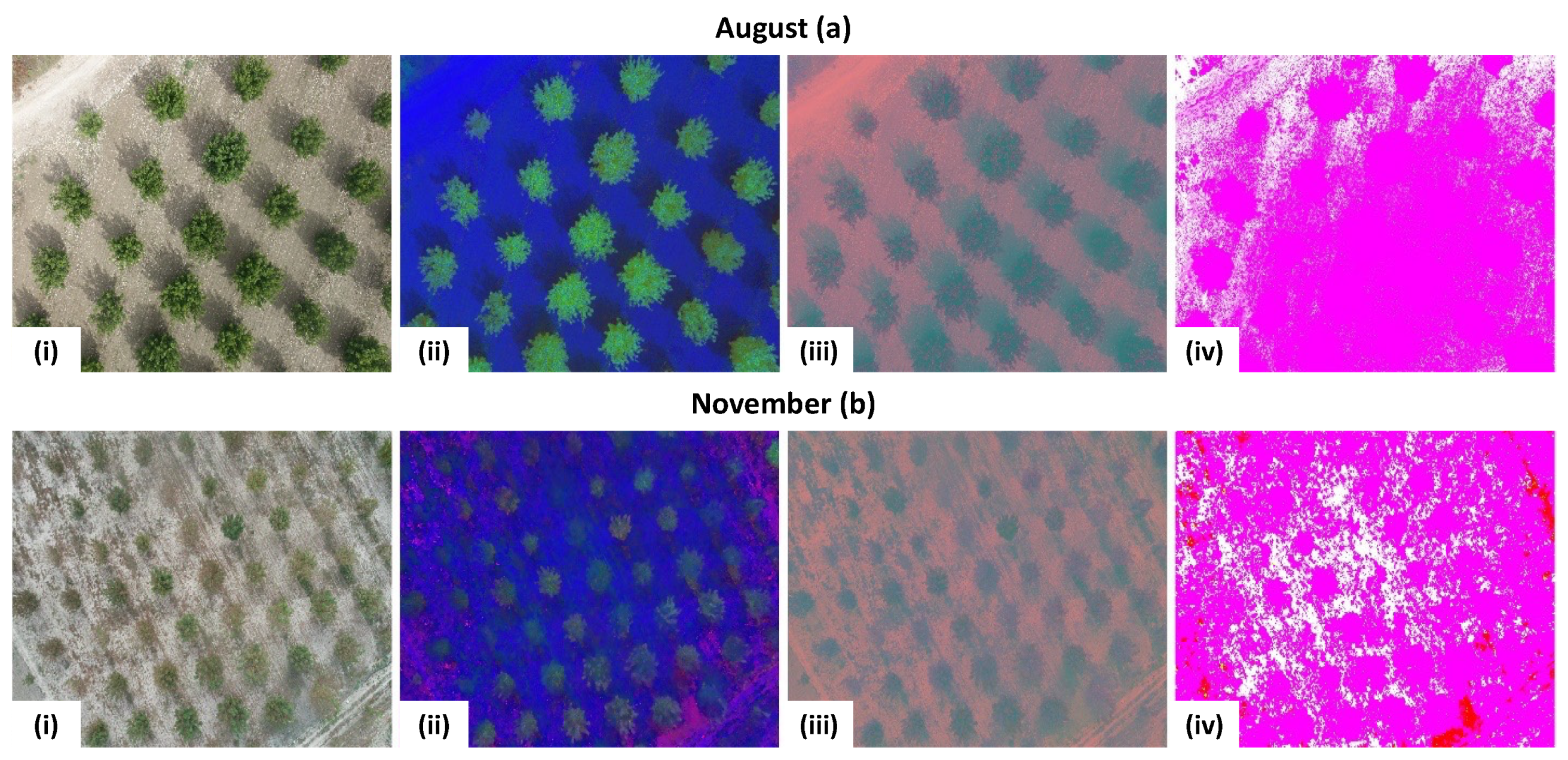 Agronomy 12 01937 g004 550