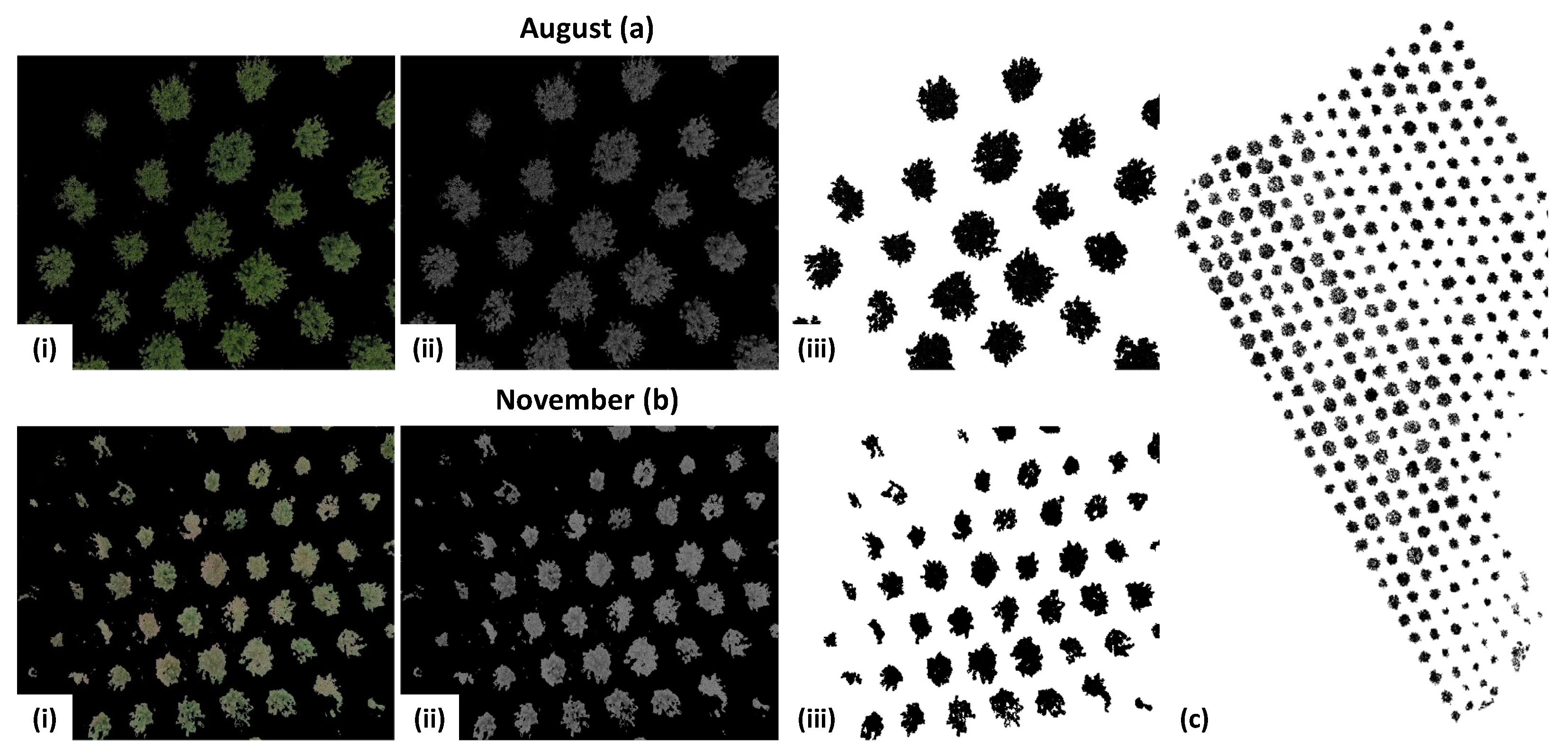 Agronomy 12 01937 g005 550