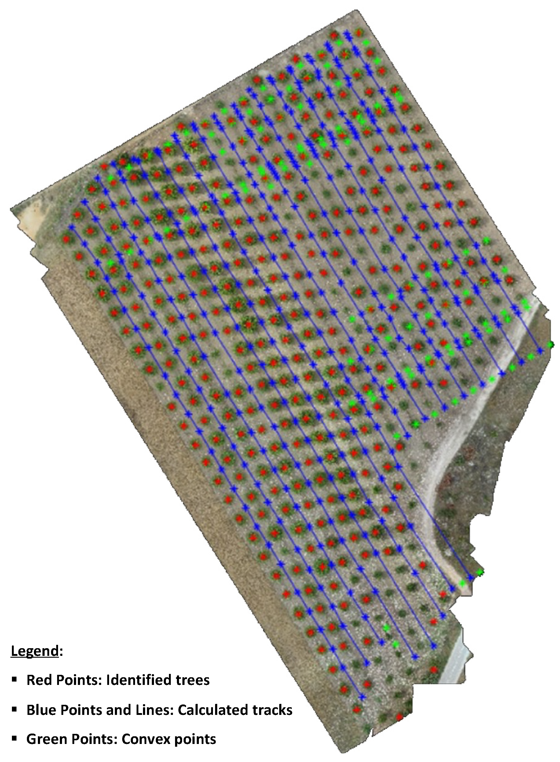 Agronomy 12 01937 g008 550