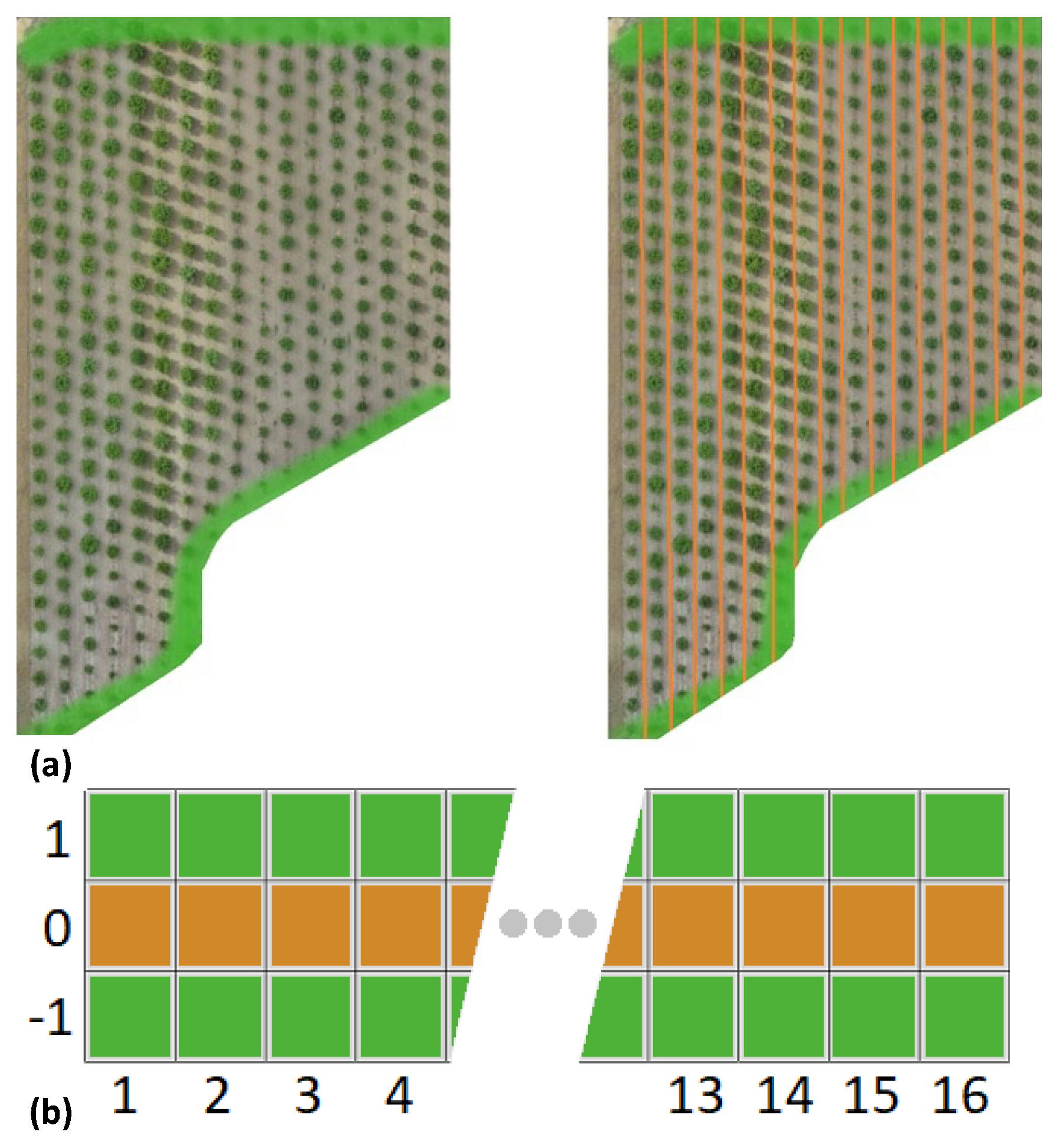 Agronomy 12 01937 g009 550