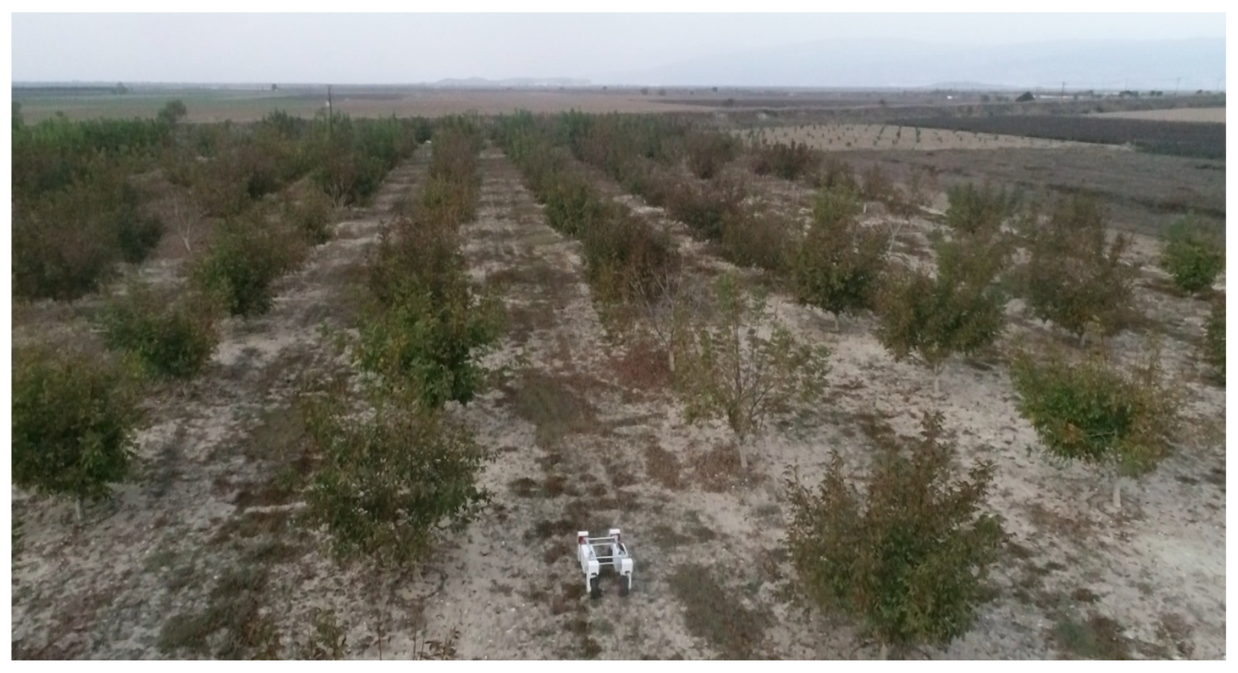 Agronomy 12 01937 g013 550