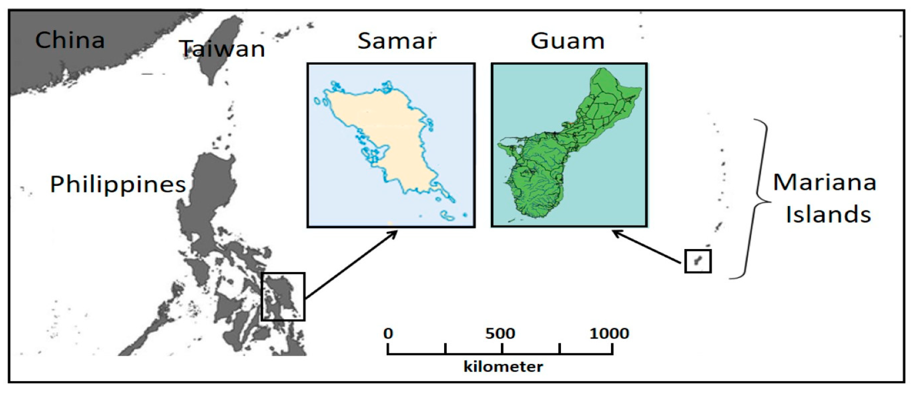 Agronomy 12 01938 g001
