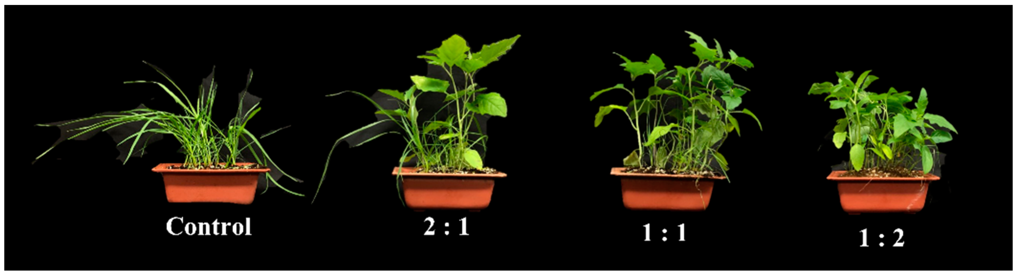 Agronomy 12 01954 g002 550