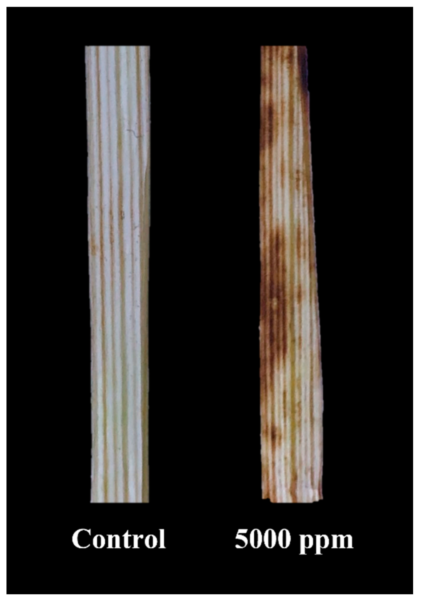 Agronomy 12 01954 g008 550