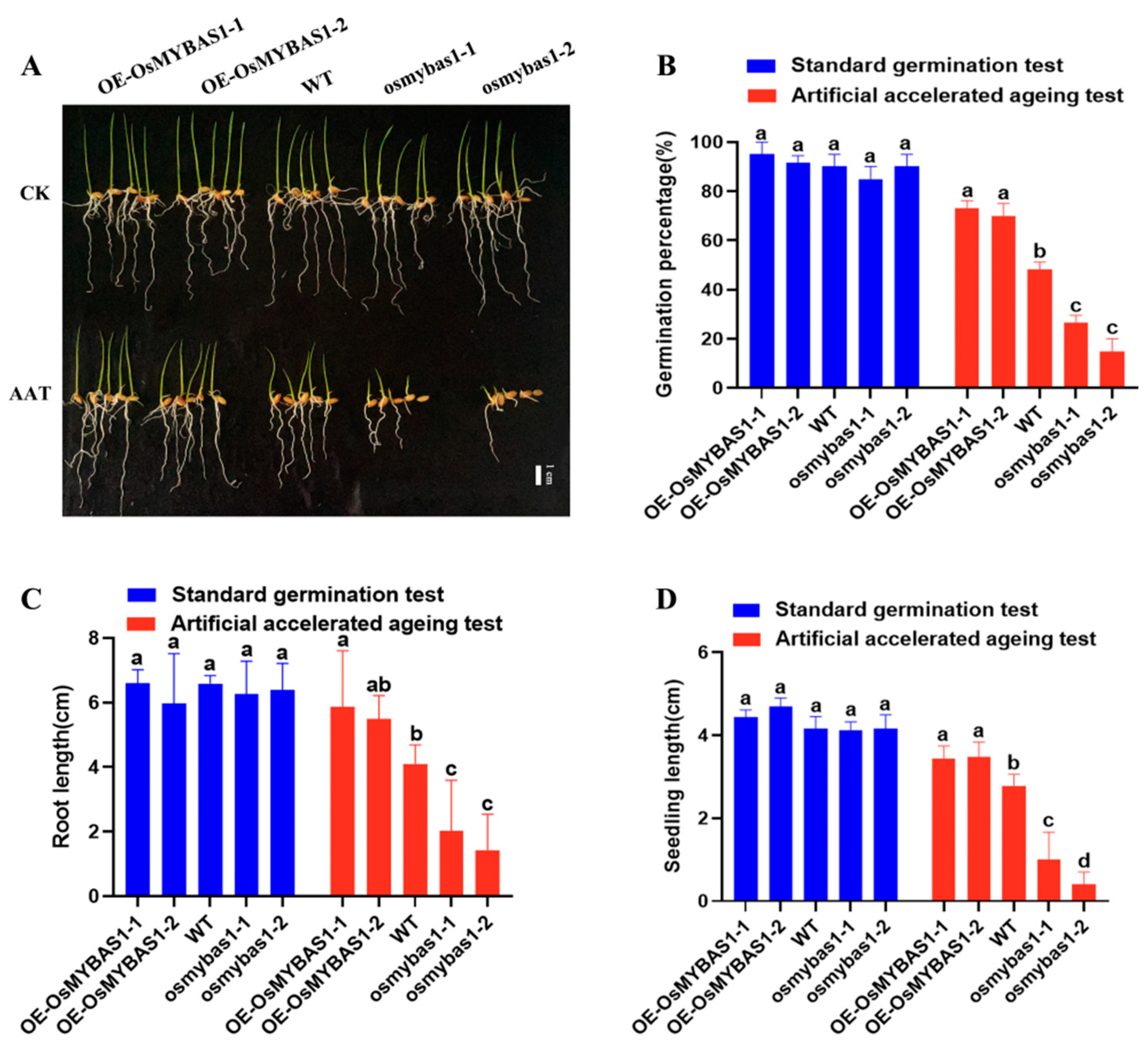Agronomy 12 01955 g001 550