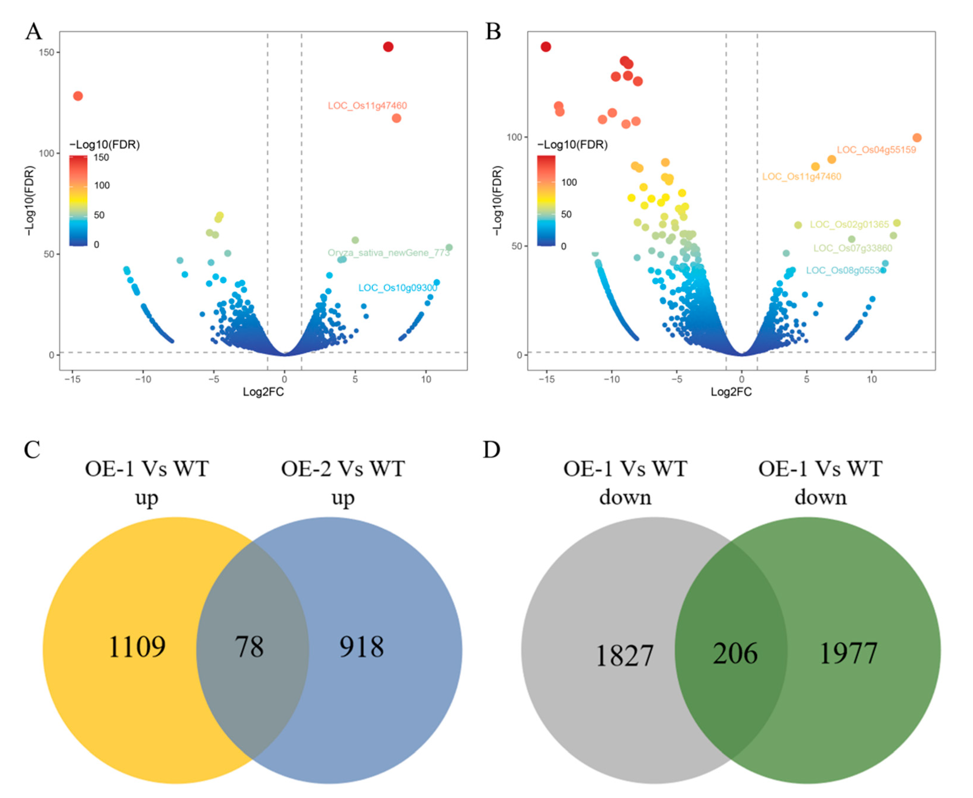 Agronomy 12 01955 g003 550