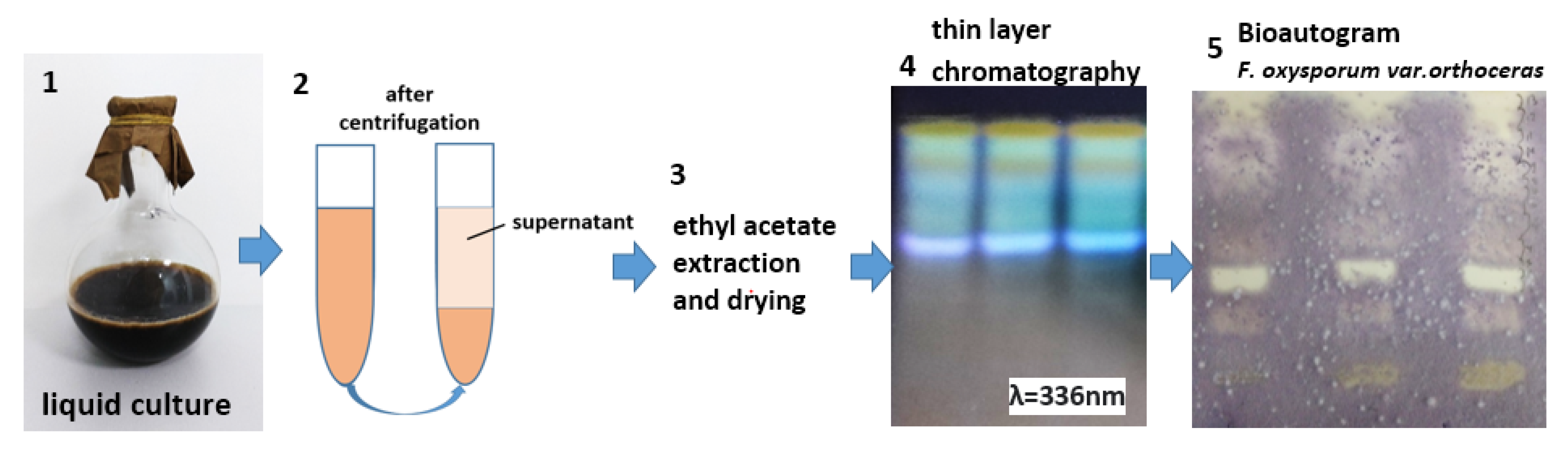 Agronomy 12 01956 g002 550