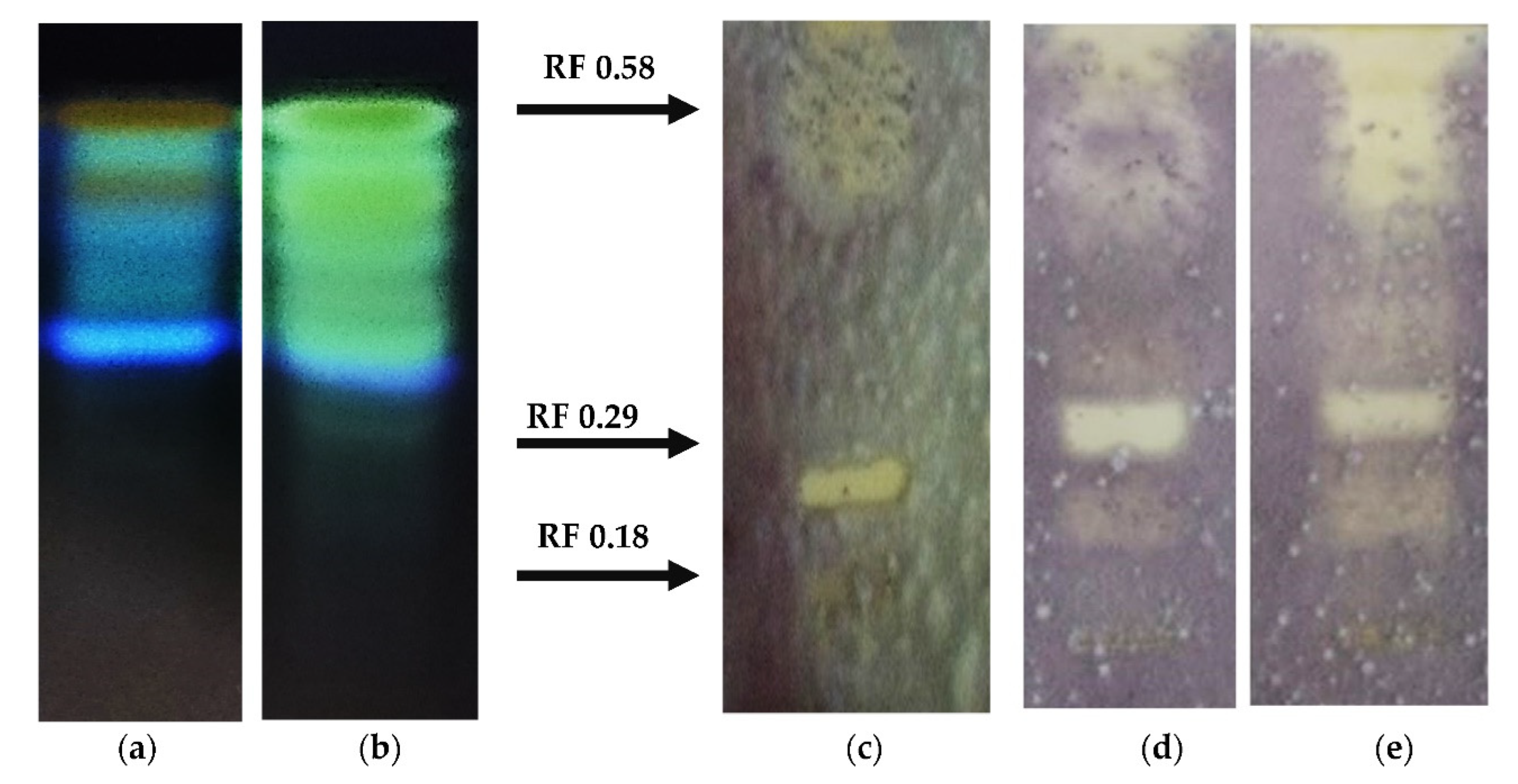 Agronomy 12 01956 g008 550