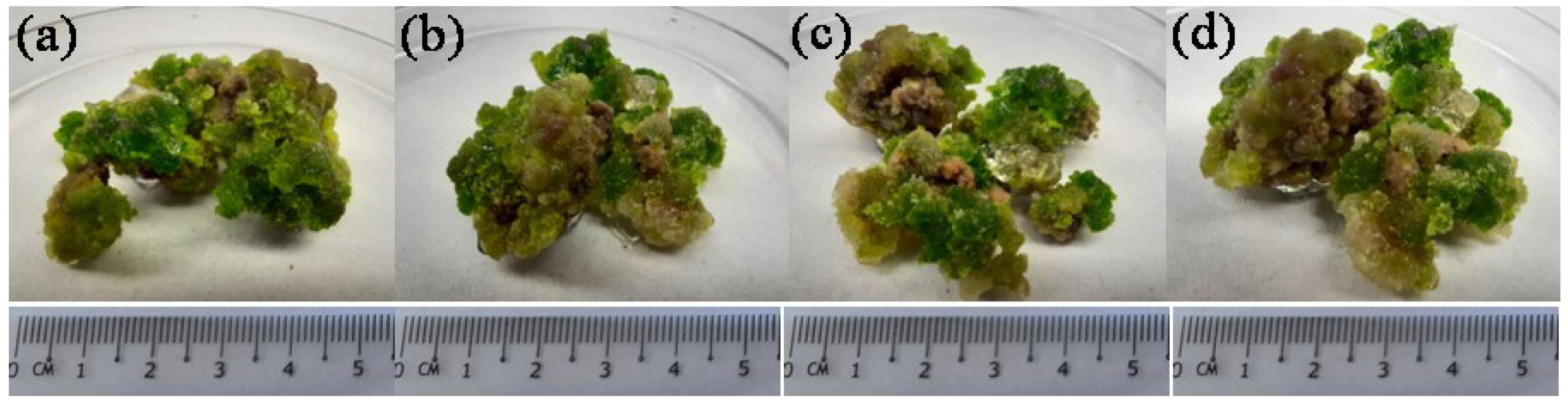 Agronomy 12 01957 g002 Agronomy 12 01957 g002