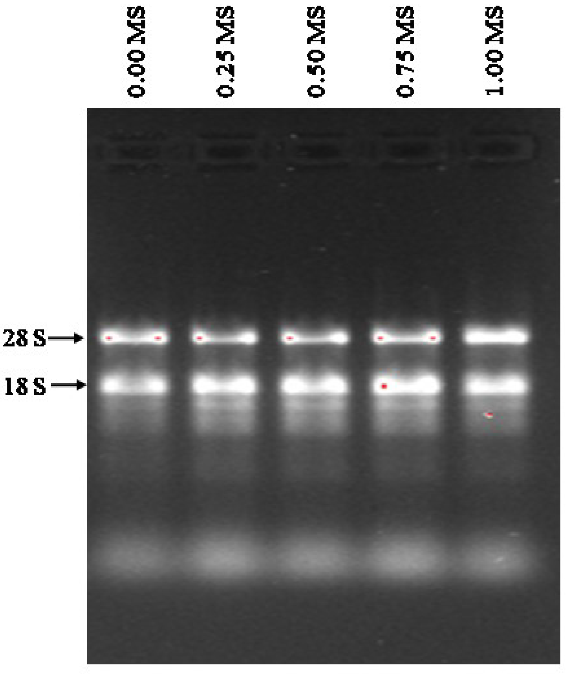 Agronomy 12 01957 g009 Agronomy 12 01957 g009