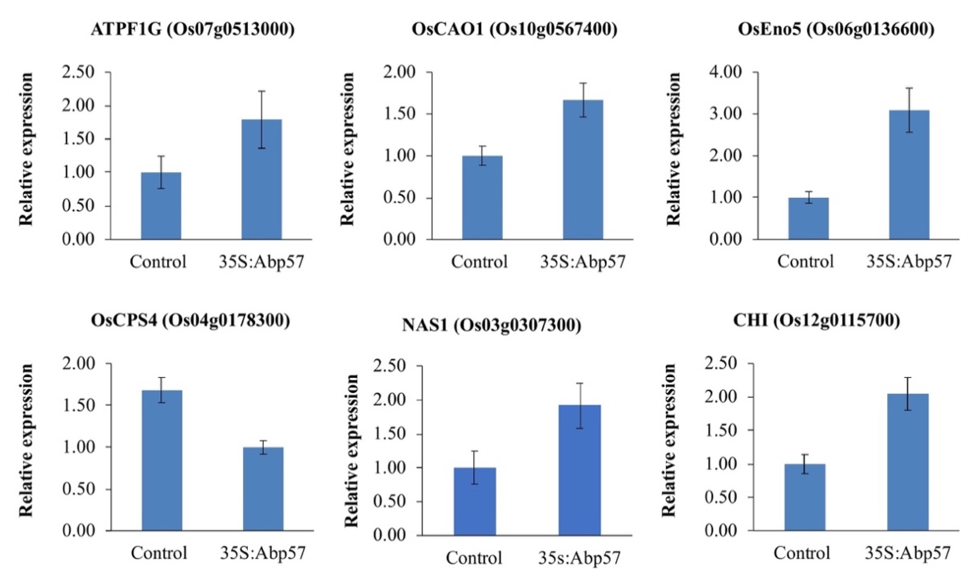 Agronomy 12 01959 g001