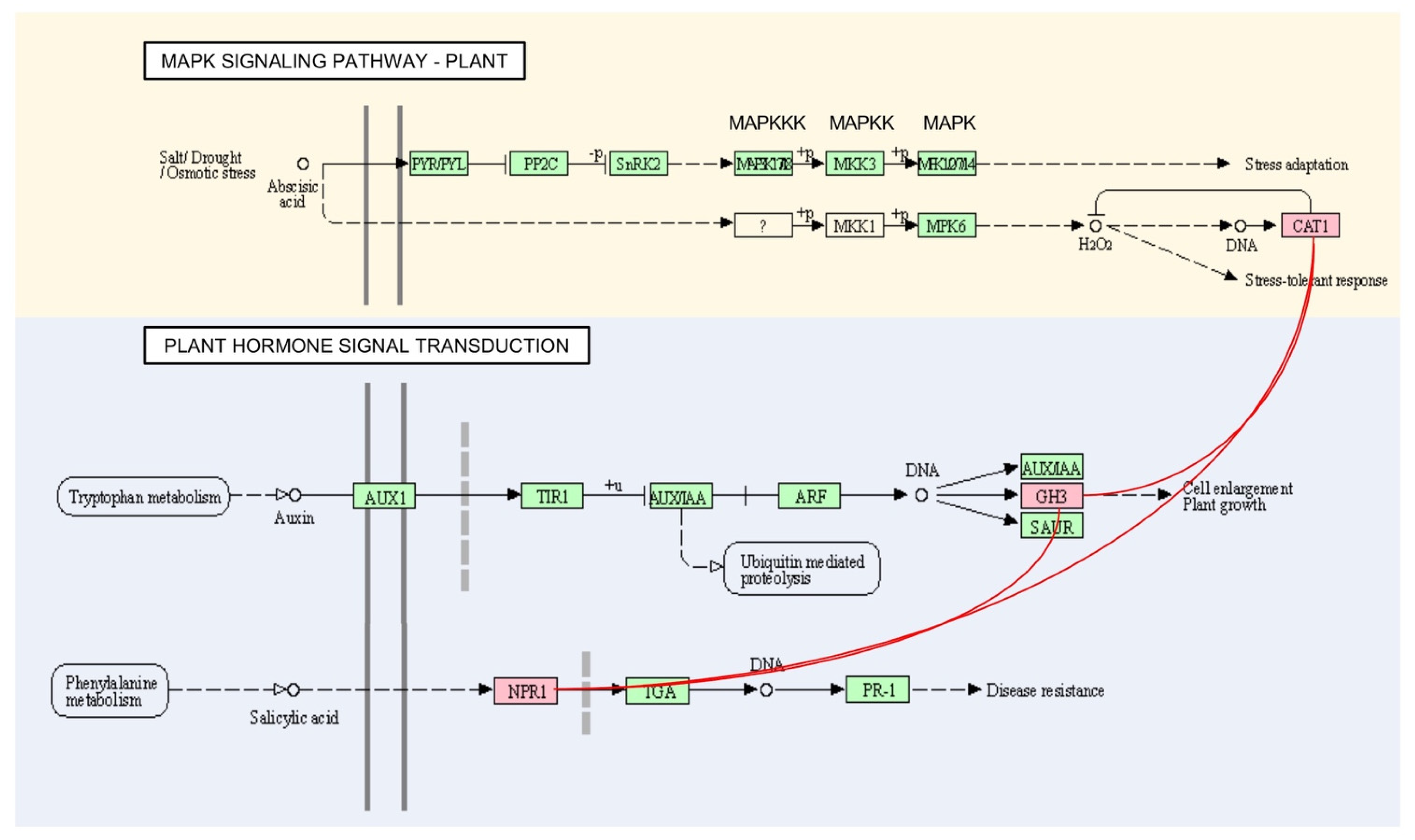 Agronomy 12 01959 g006