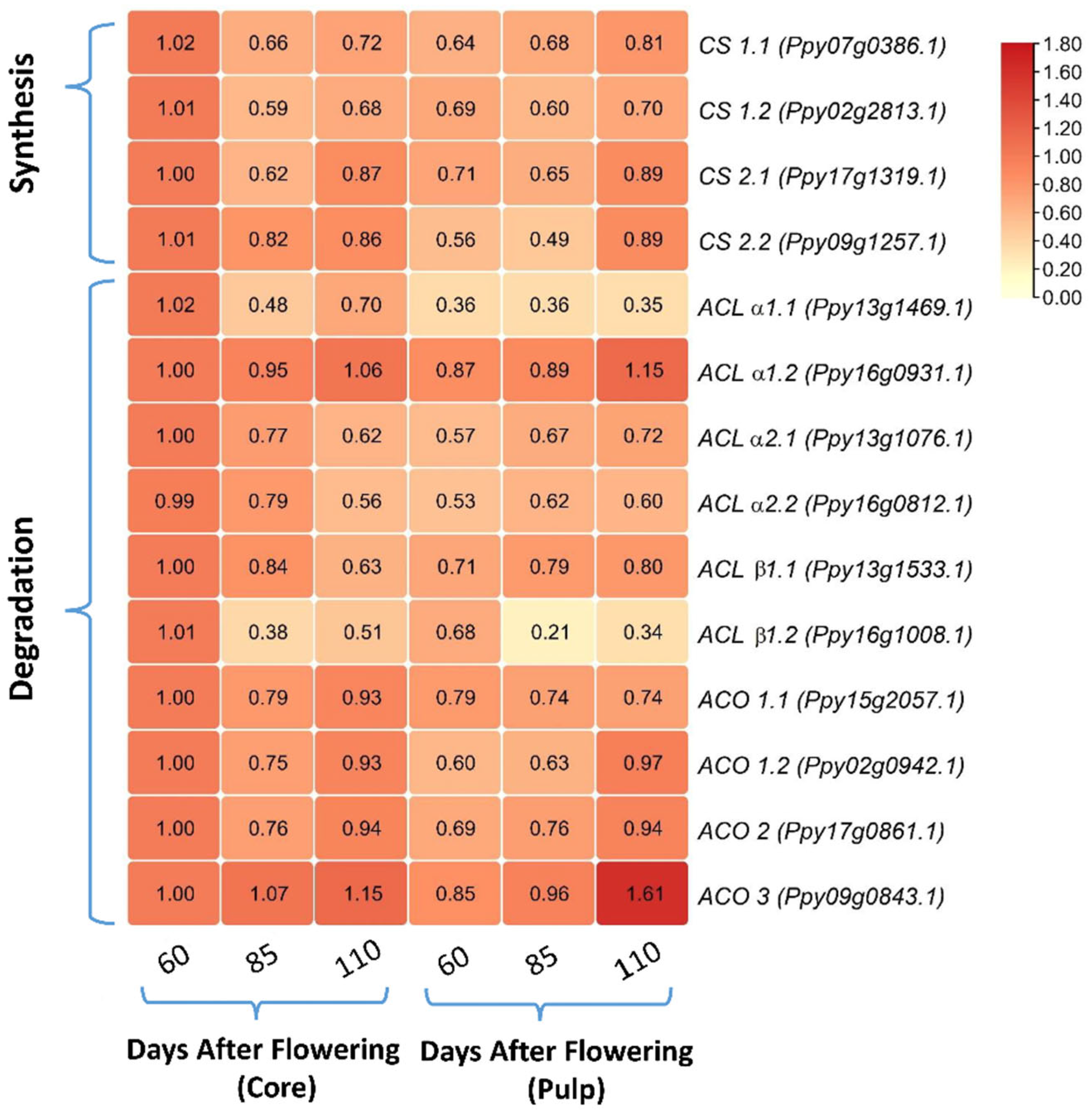 Agronomy 12 01966 g003
