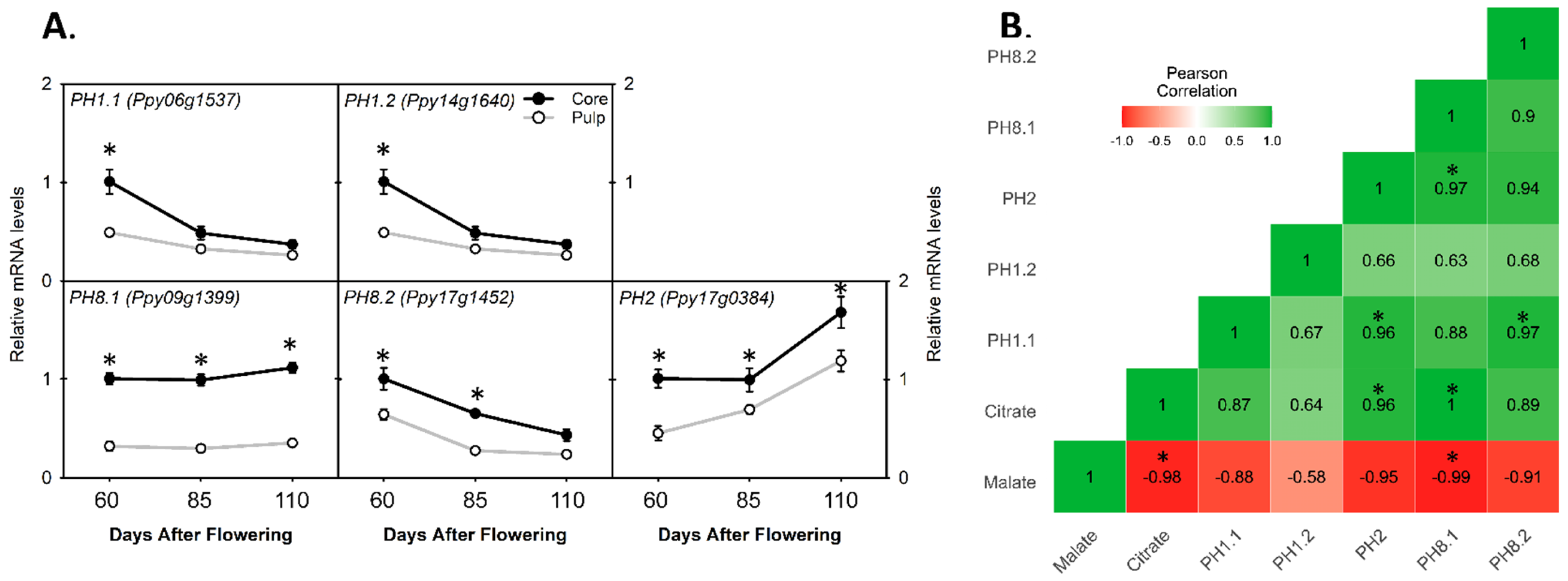 Agronomy 12 01966 g006