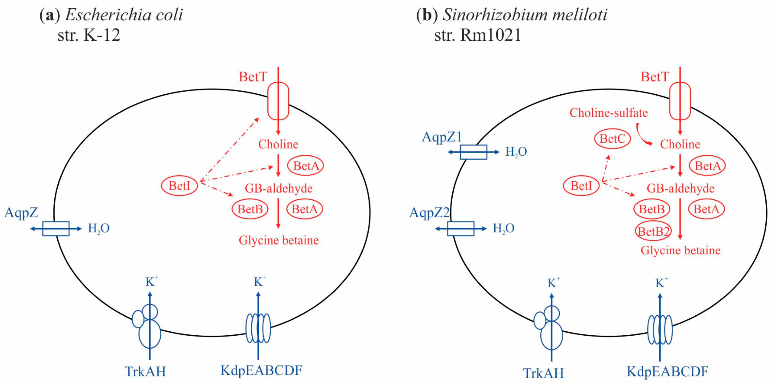 Agronomy 12 01968 g001 Agronomy 12 01968 g001
