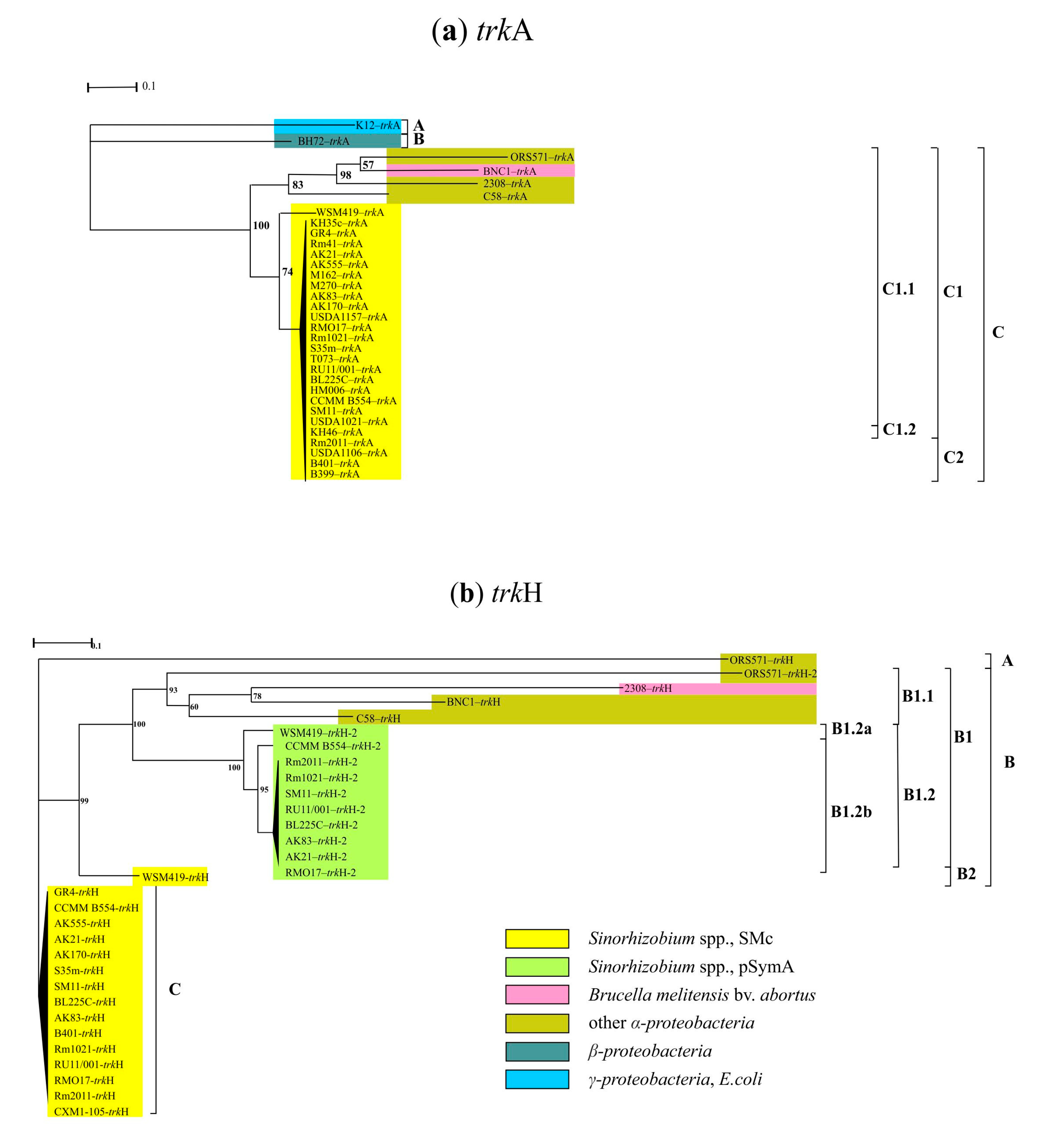 Agronomy 12 01968 g002 Agronomy 12 01968 g002