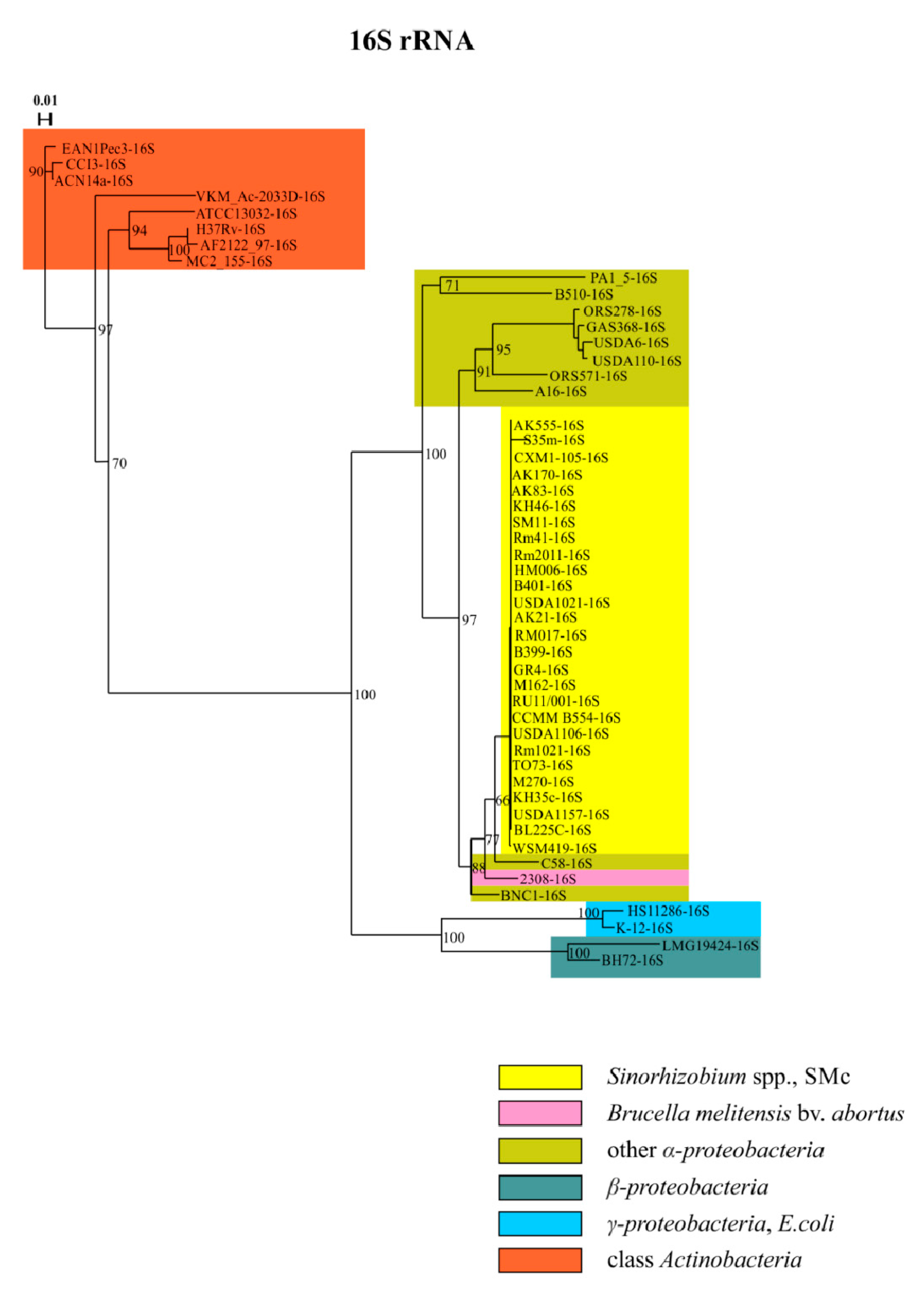 Agronomy 12 01968 g003 Agronomy 12 01968 g003