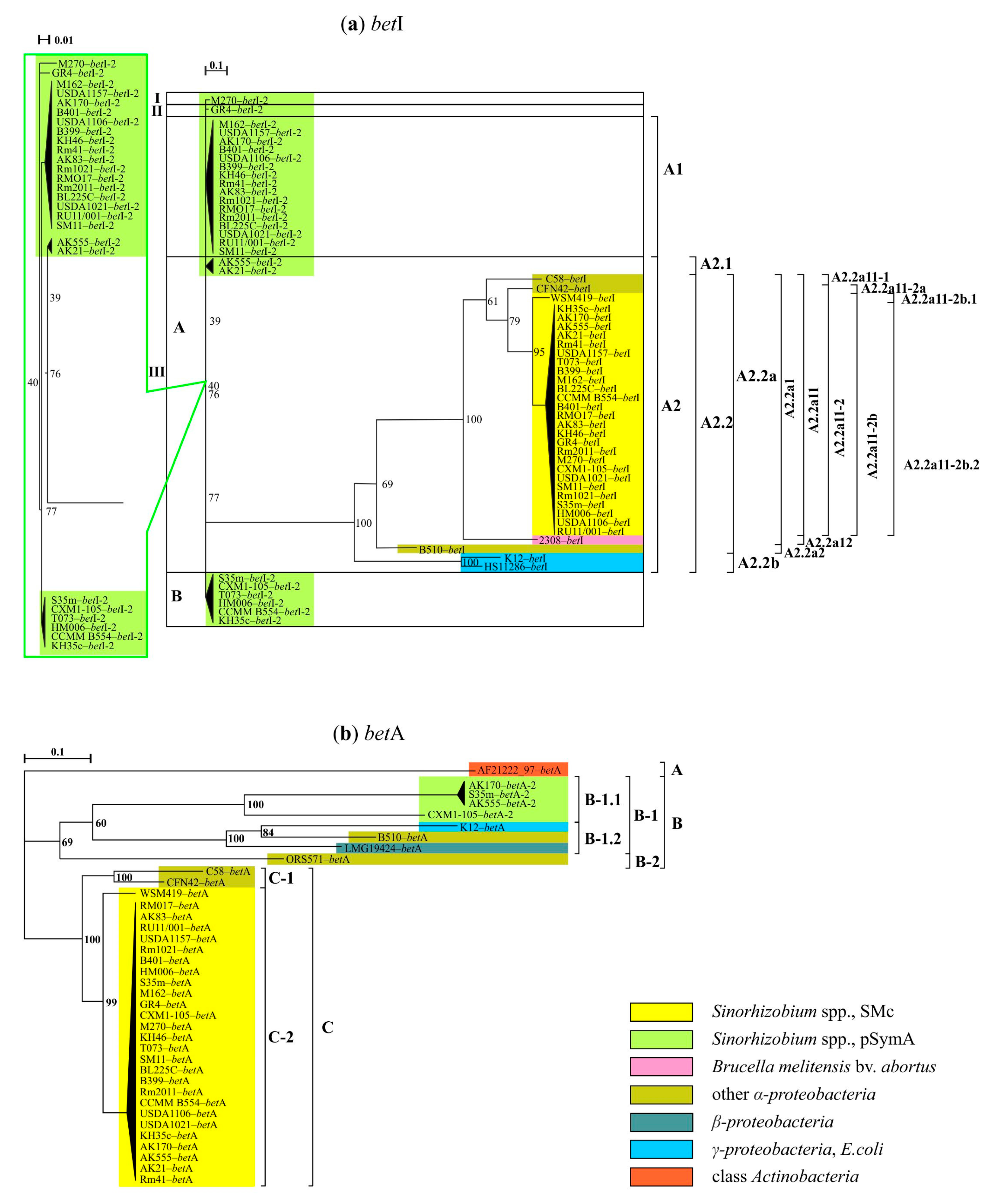 Agronomy 12 01968 g005 Agronomy 12 01968 g005