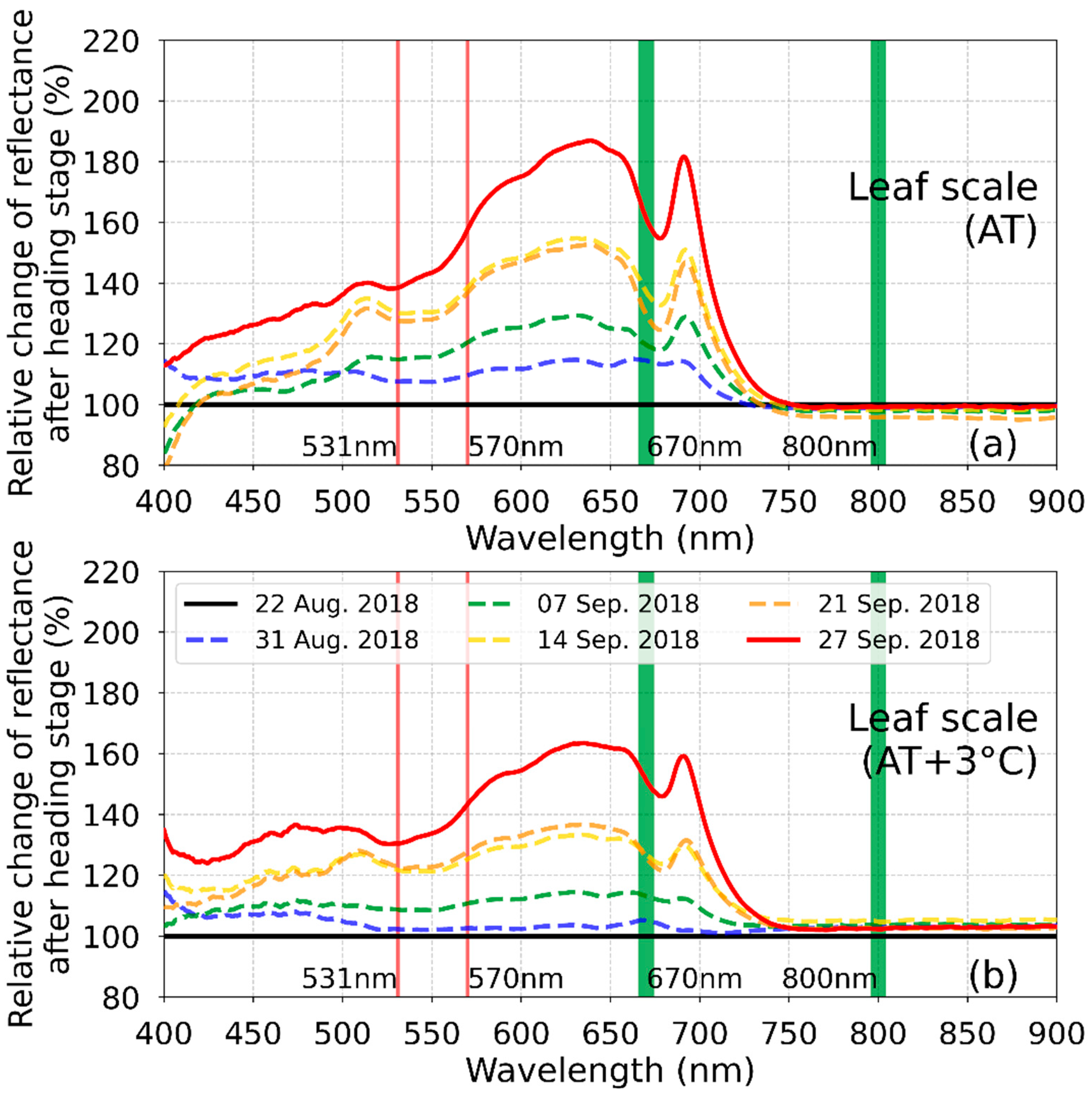 Agronomy 12 01972 g007