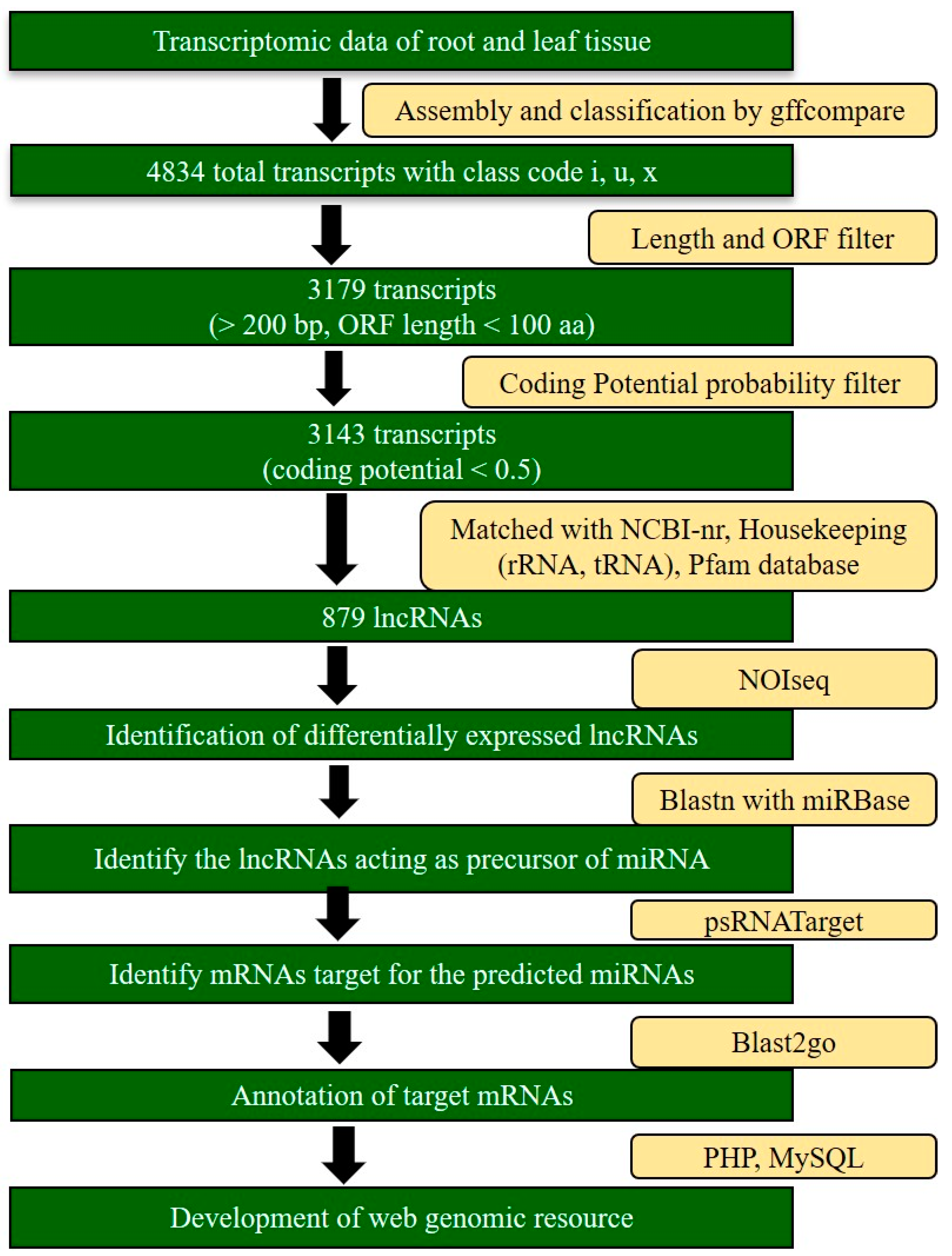 Agronomy 12 01976 g001