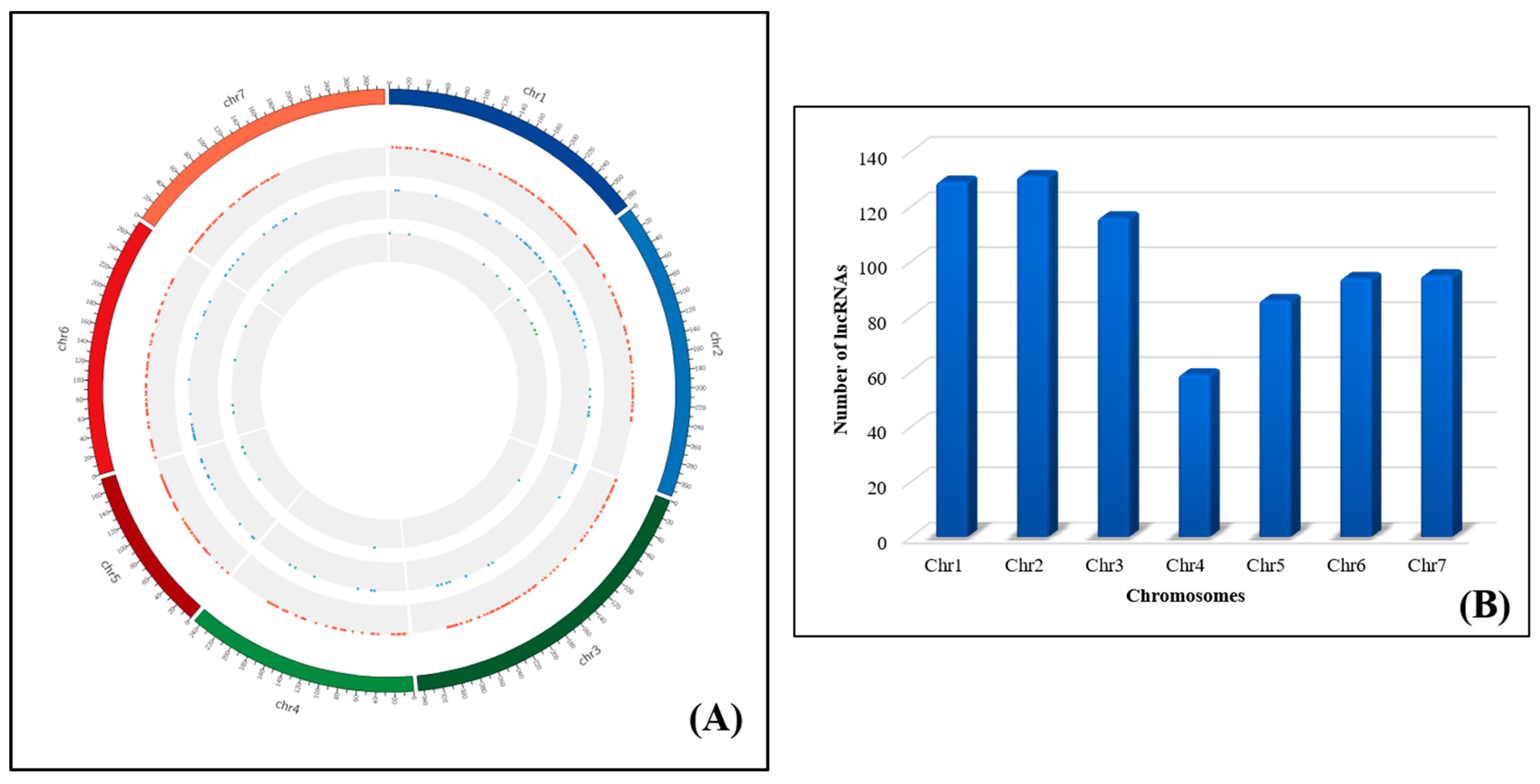 Agronomy 12 01976 g003