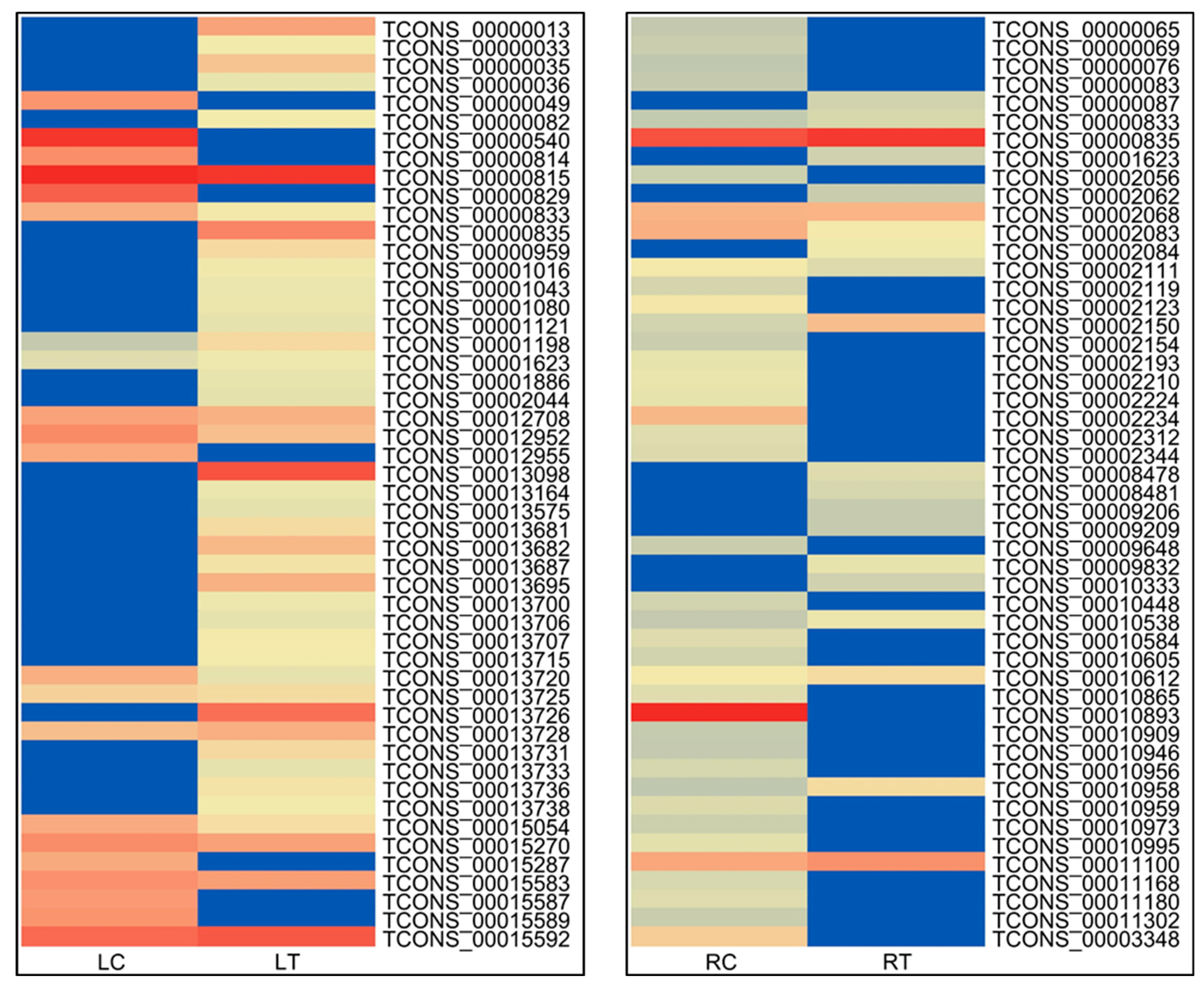 Agronomy 12 01976 g005