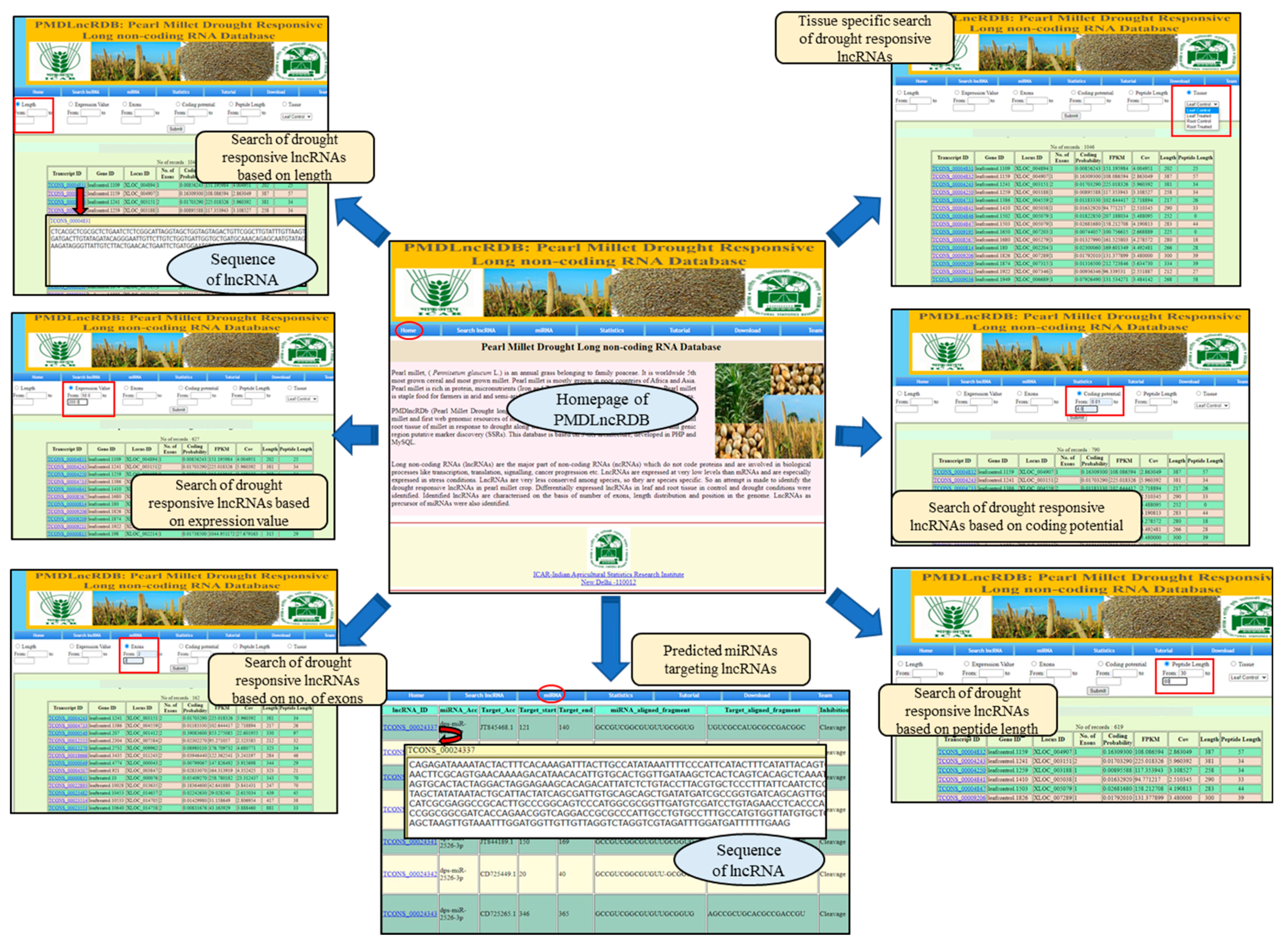 Agronomy 12 01976 g006